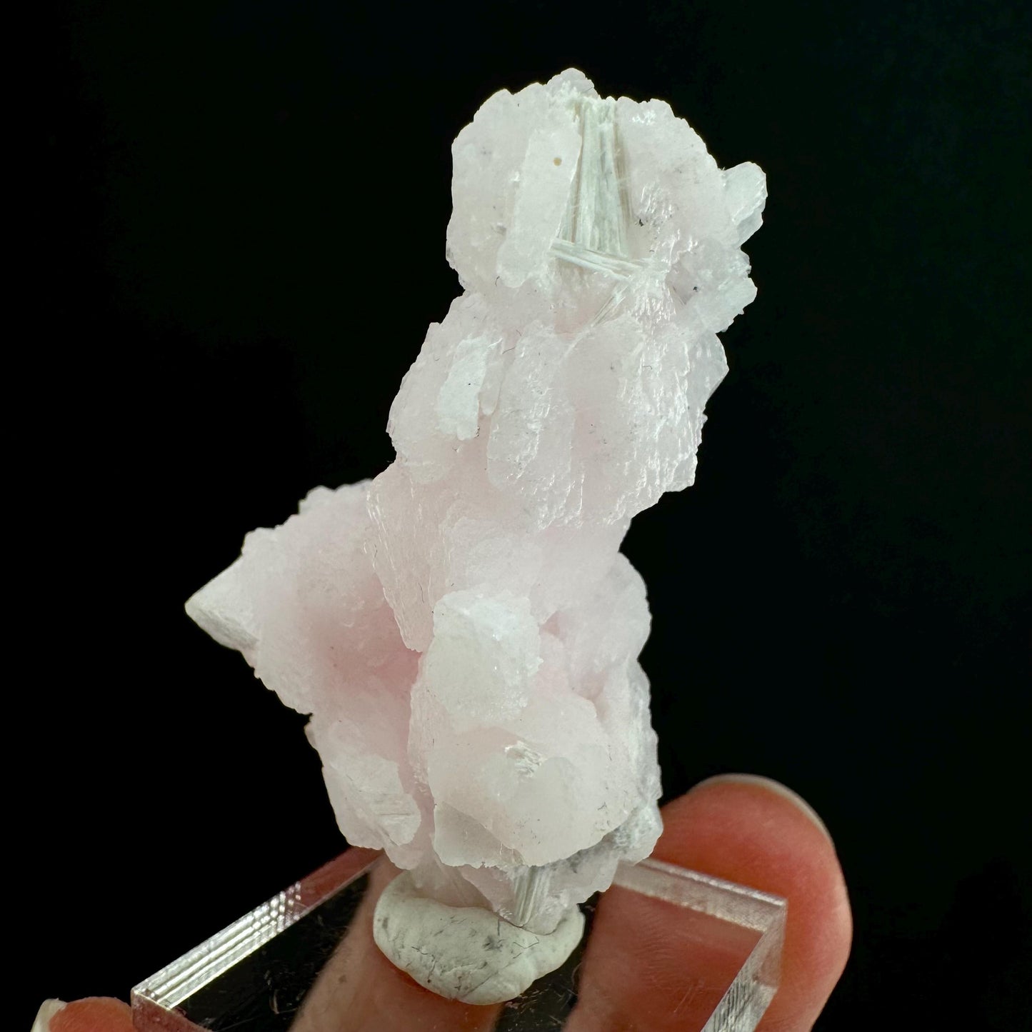 Mangano Calcite w/ Kutnohorite (South Africa) | pink mangano calcite, fluorescent crystal, mineral specimen