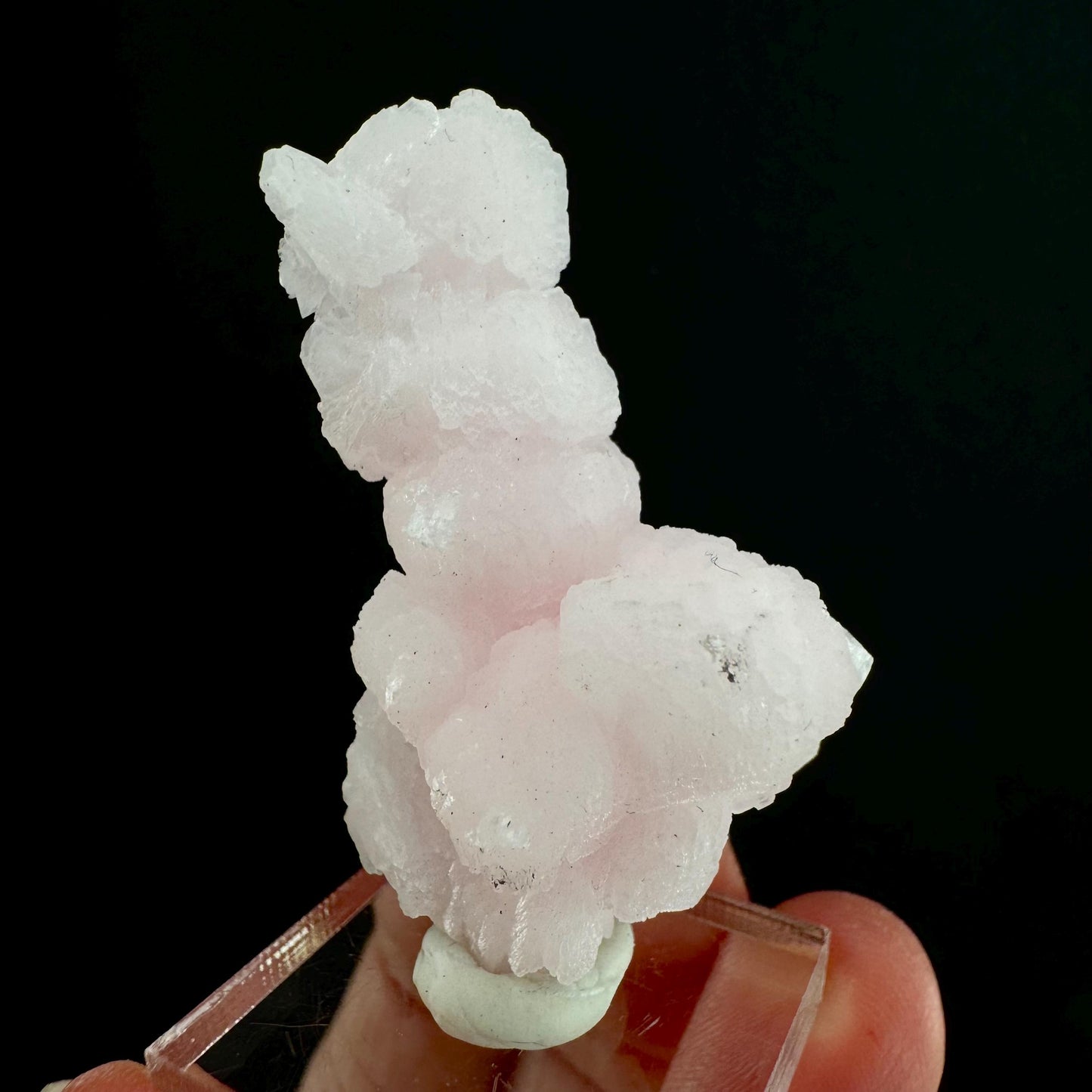Mangano Calcite w/ Kutnohorite (South Africa) | pink mangano calcite, fluorescent crystal, mineral specimen