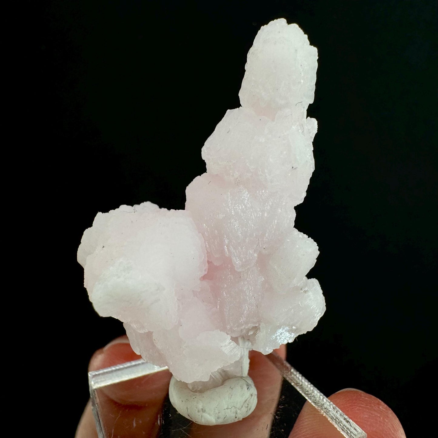 Mangano Calcite w/ Kutnohorite (South Africa) | pink mangano calcite, fluorescent crystal, mineral specimen