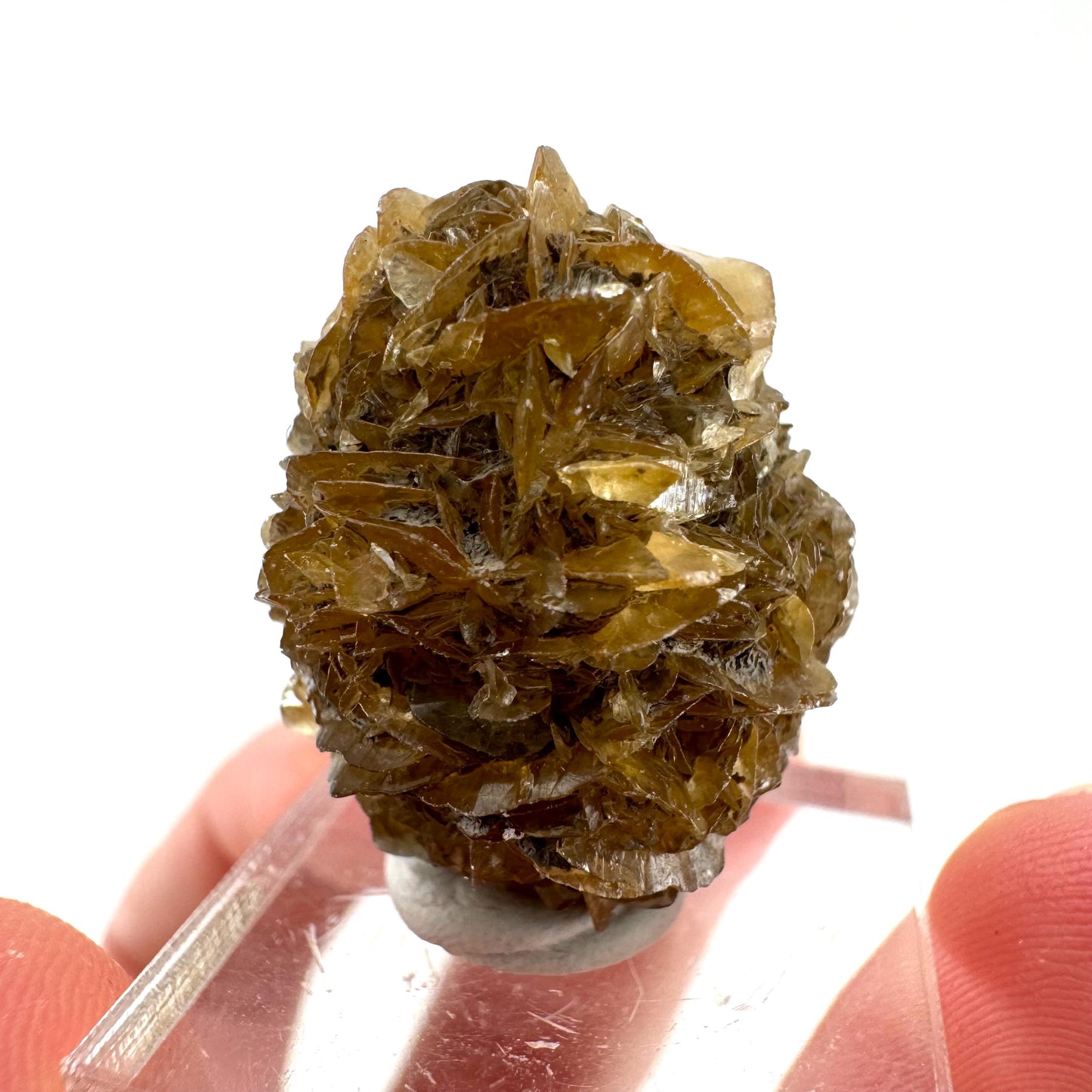 Fluorescent & Phosphorescent Golden Selenite (Canada) | selenite rosette, selenite crystal, UV reactive crystal, crystals