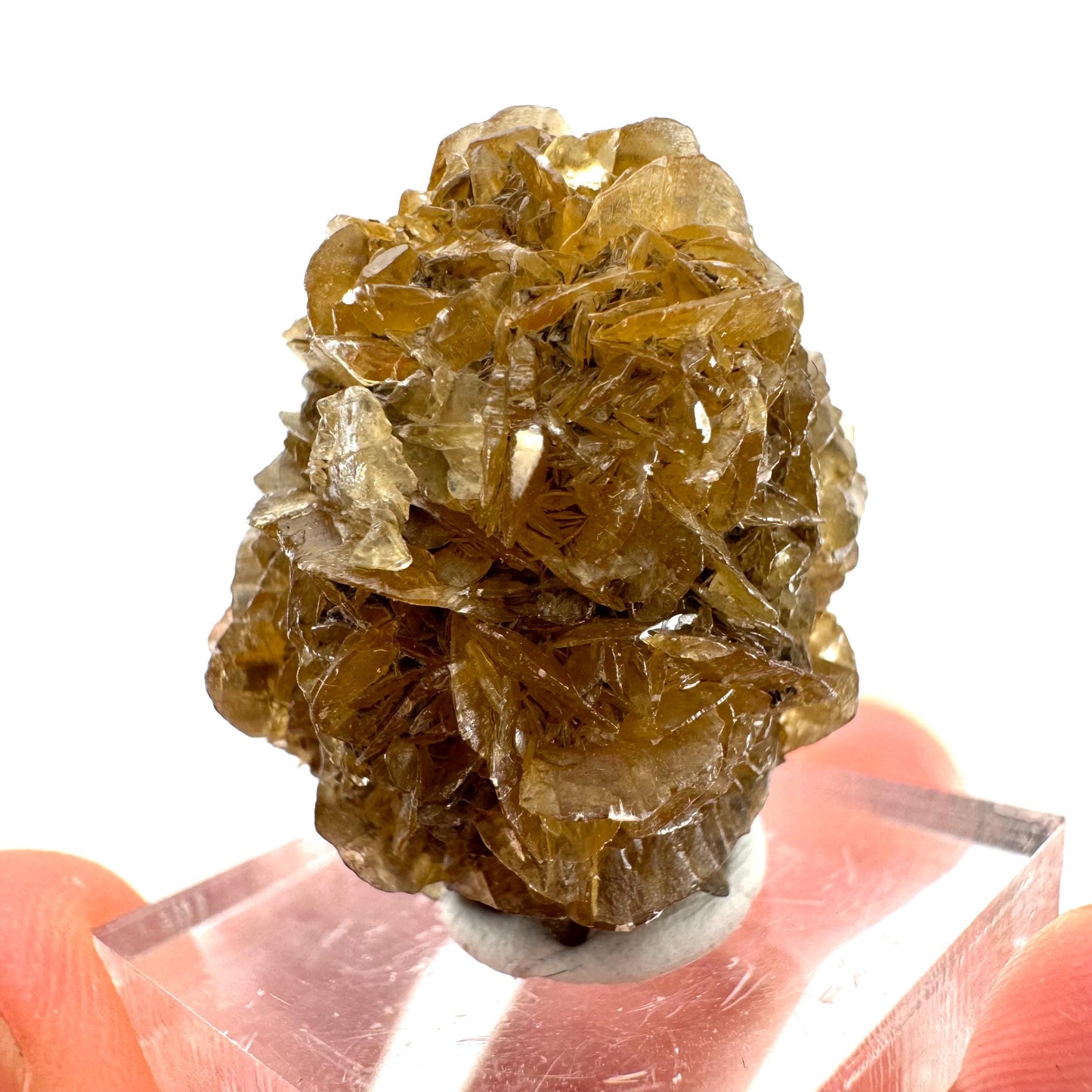 Fluorescent & Phosphorescent Golden Selenite (Canada) | selenite rosette, selenite crystal, UV reactive crystal, crystals