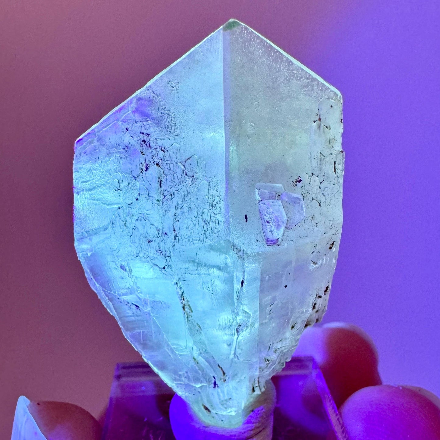 Fluorescent & Phosphorescent Golden Selenite (Canada) | selenite rosette, selenite crystal, UV reactive crystal, crystals