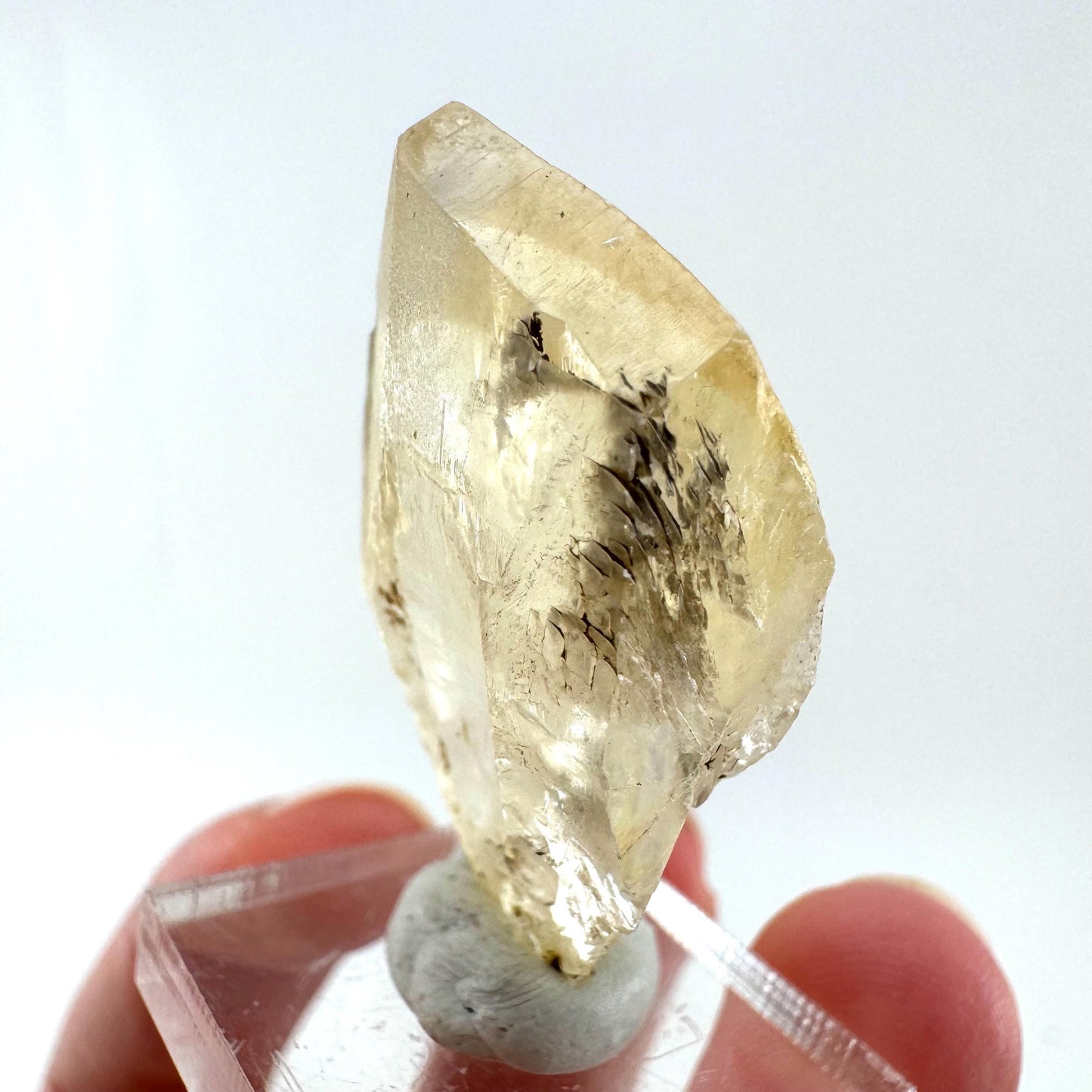 Fluorescent & Phosphorescent Golden Selenite (Canada) | selenite rosette, selenite crystal, UV reactive crystal, crystals