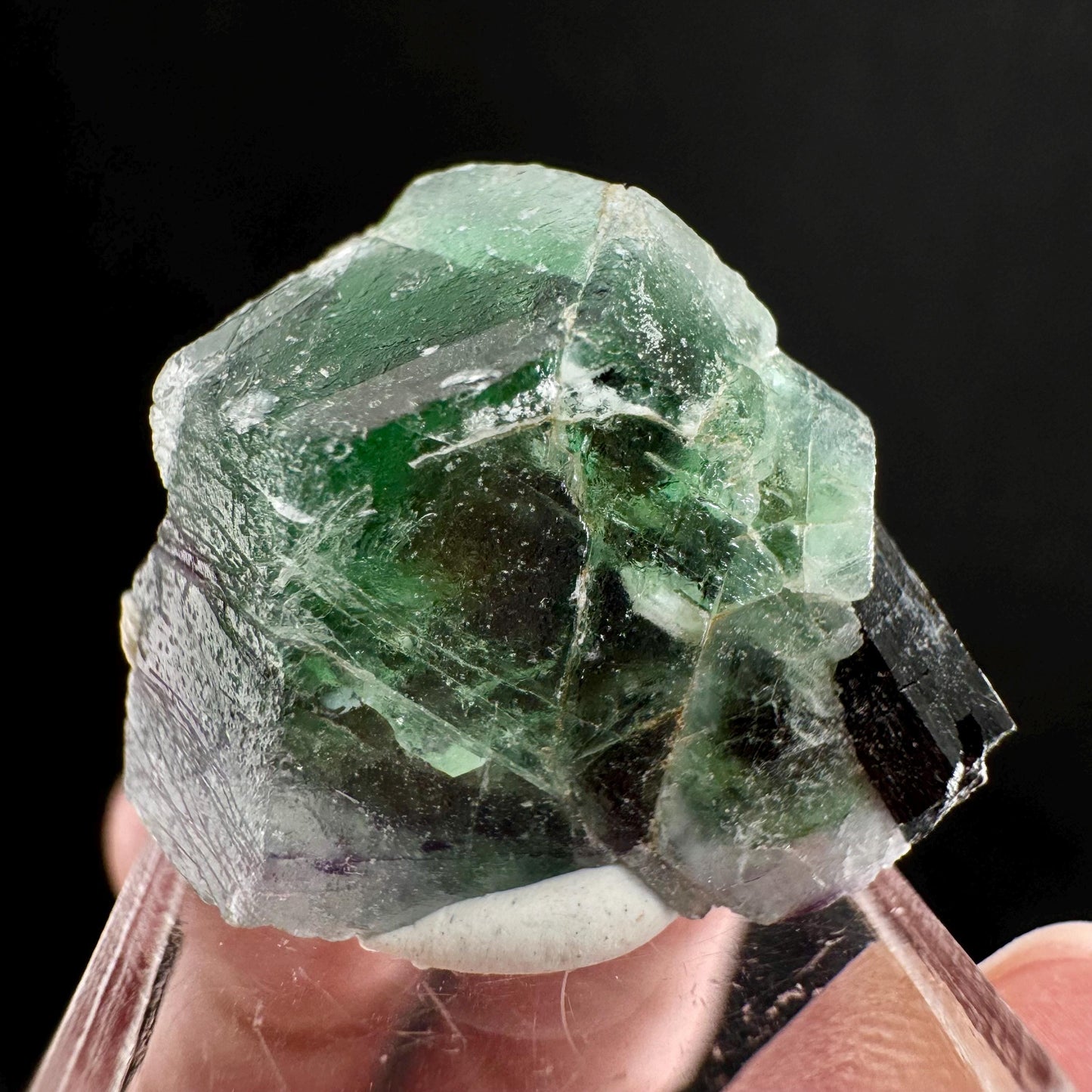 Fluorite w/ Schorl (Erongo, Namibia) | Lollipop Pocket, fluorite cluster, green fluorite, mineral specimen