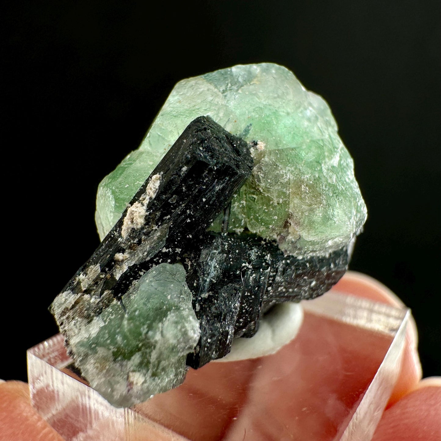 Fluorite w/ Schorl (Erongo, Namibia) | Lollipop Pocket, fluorite cluster, green fluorite, mineral specimen