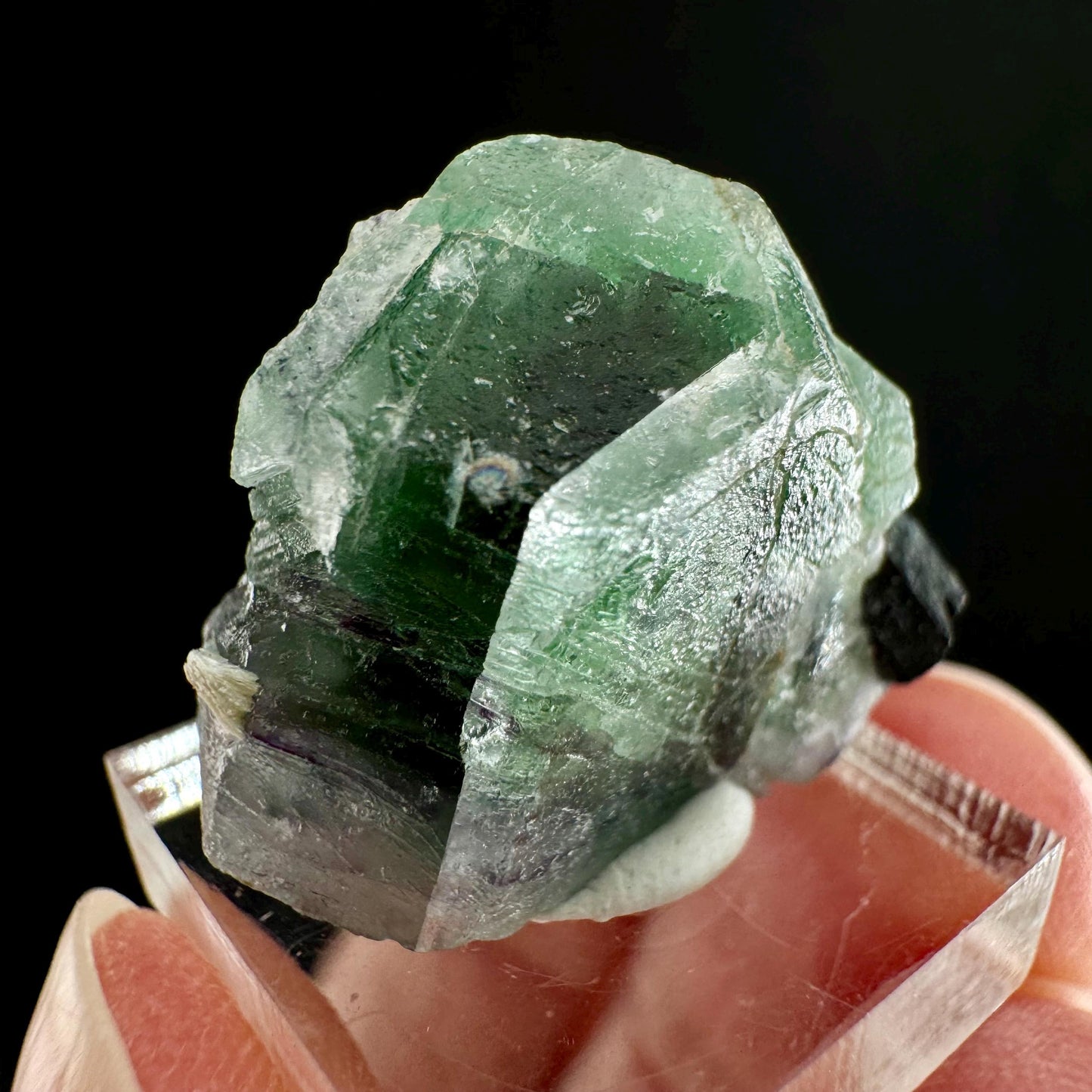 Fluorite w/ Schorl (Erongo, Namibia) | Lollipop Pocket, fluorite cluster, green fluorite, mineral specimen