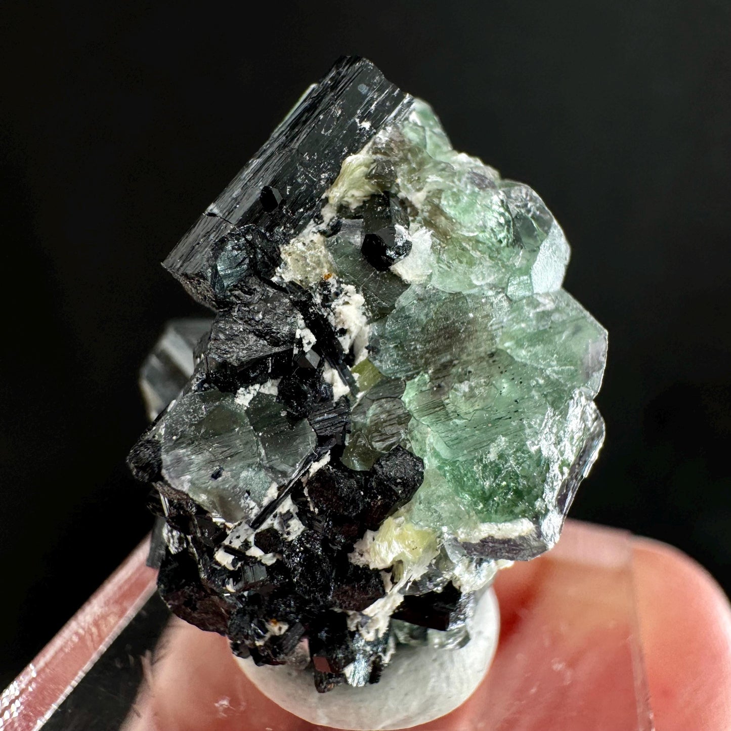 Fluorite w/ Schorl (Erongo, Namibia) | Lollipop Pocket, fluorite cluster, green fluorite, mineral specimen