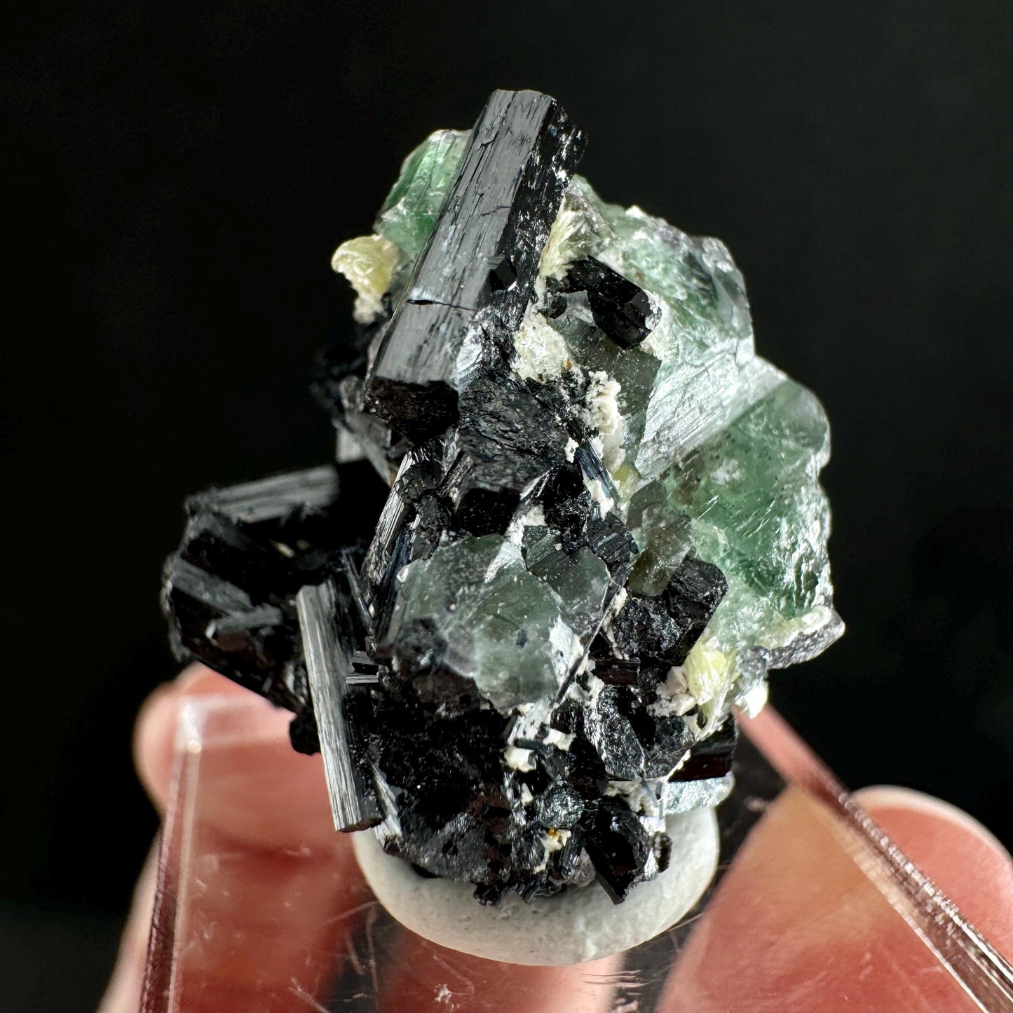 Fluorite w/ Schorl (Erongo, Namibia) | Lollipop Pocket, fluorite cluster, green fluorite, mineral specimen