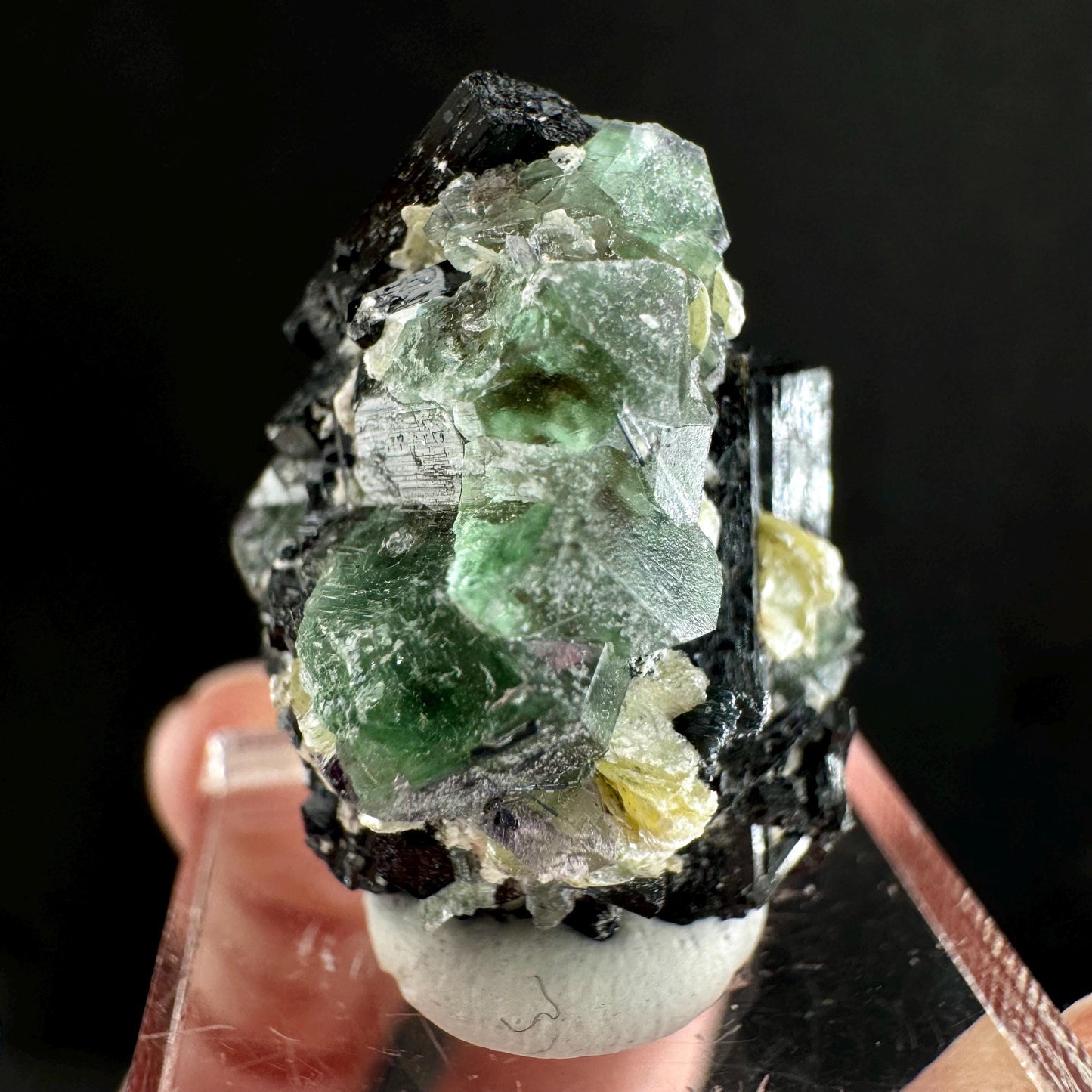 Fluorite w/ Schorl (Erongo, Namibia) | Lollipop Pocket, fluorite cluster, green fluorite, mineral specimen