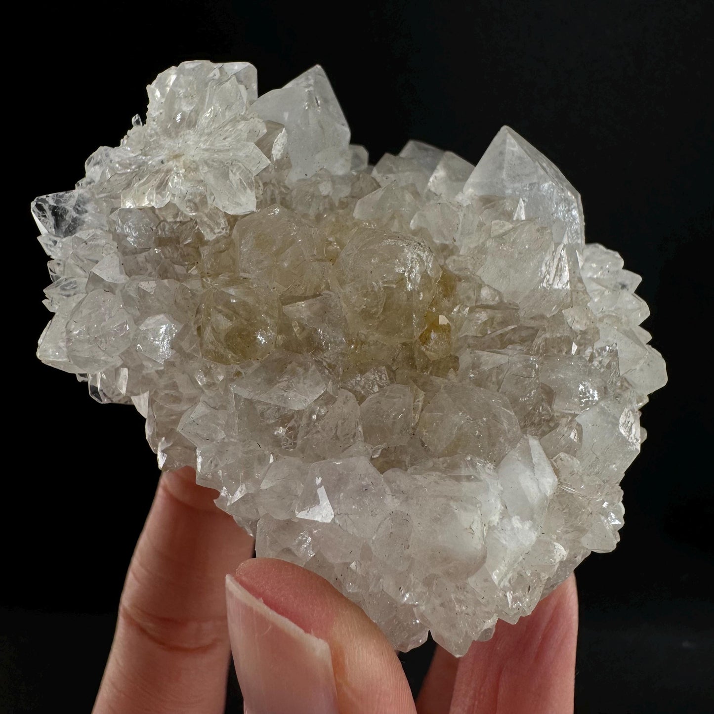 Spirit quartz crystal, spirit quartz cluster, cactus quartz