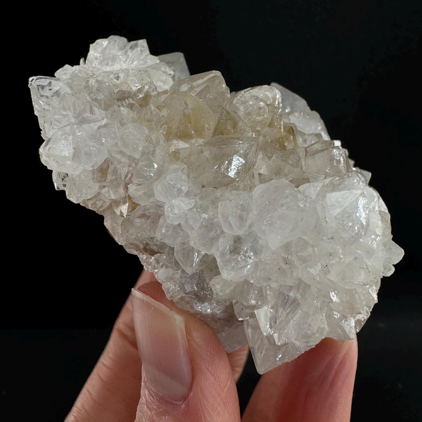 Spirit quartz crystal, spirit quartz cluster, cactus quartz