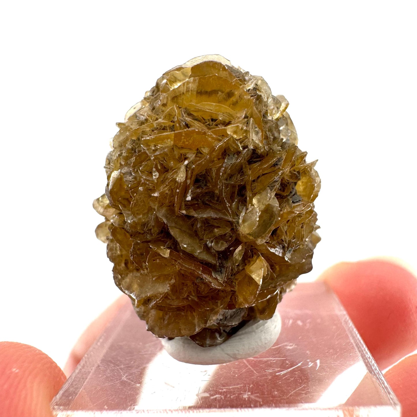 Fluorescent & Phosphorescent Golden Selenite (Canada) | selenite rosette, selenite crystal, UV reactive crystal, crystals