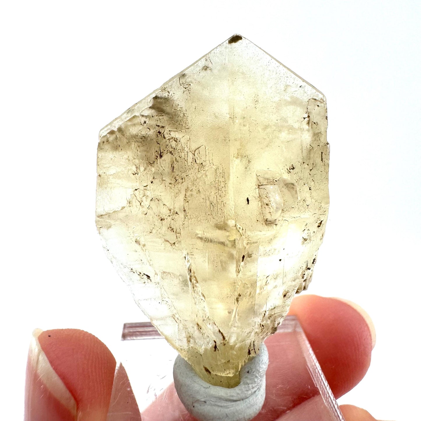 Fluorescent & Phosphorescent Golden Selenite (Canada) | selenite rosette, selenite crystal, UV reactive crystal, crystals