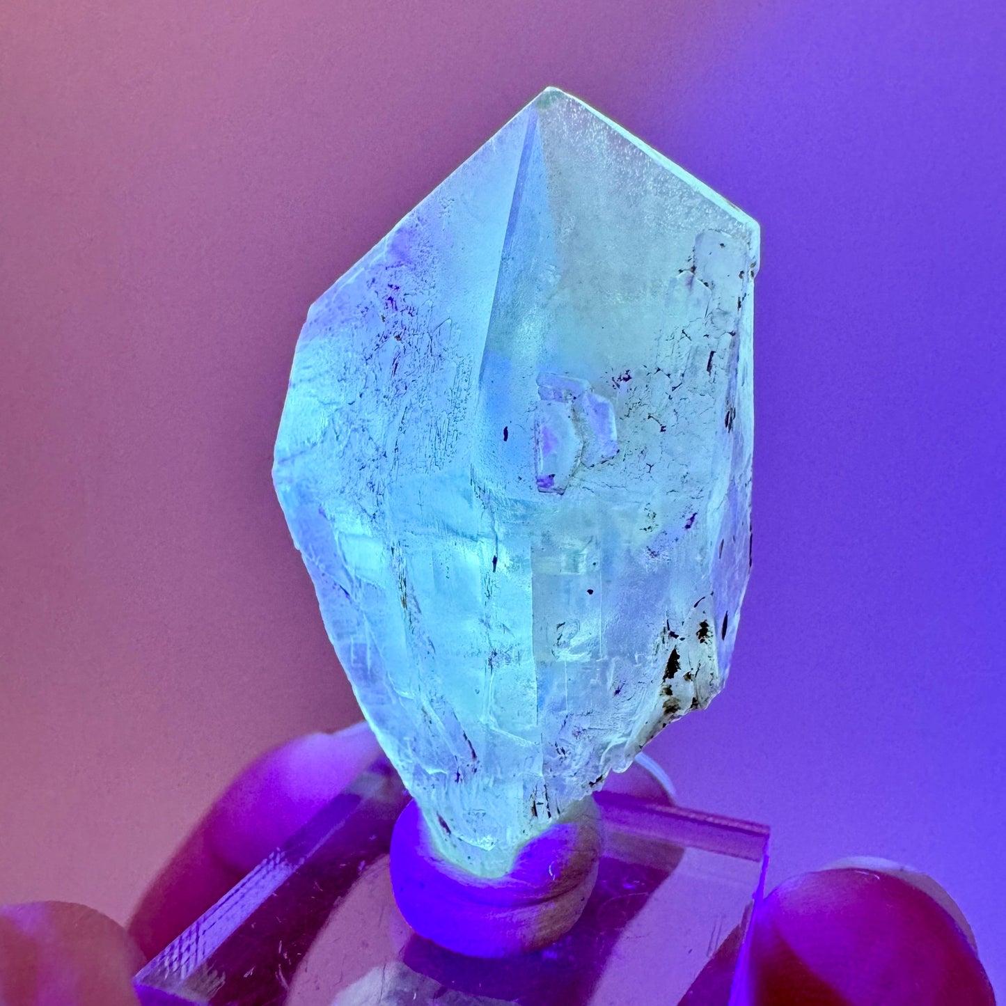 Fluorescent & Phosphorescent Golden Selenite (Canada) | selenite rosette, selenite crystal, UV reactive crystal, crystals