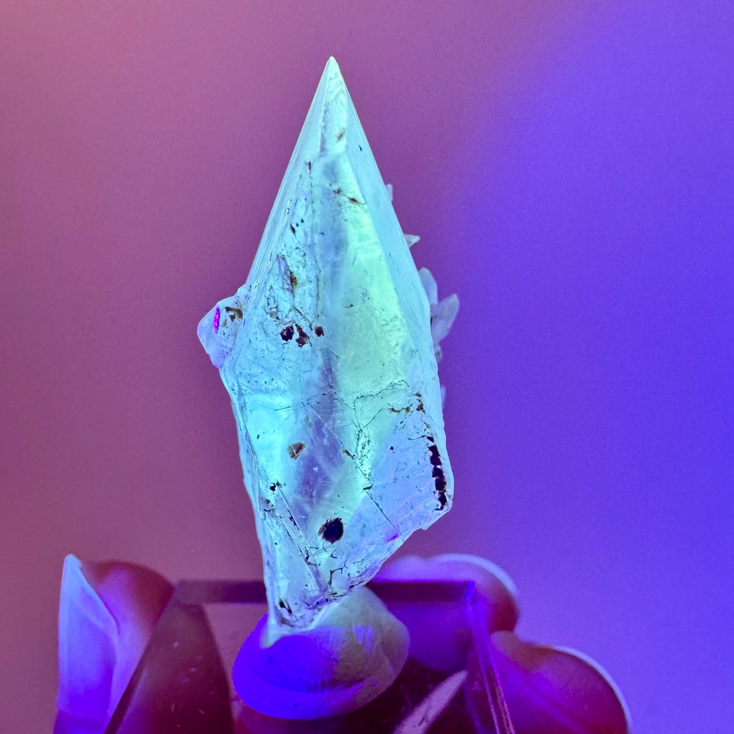Fluorescent & Phosphorescent Golden Selenite (Canada) | selenite rosette, selenite crystal, UV reactive crystal, crystals