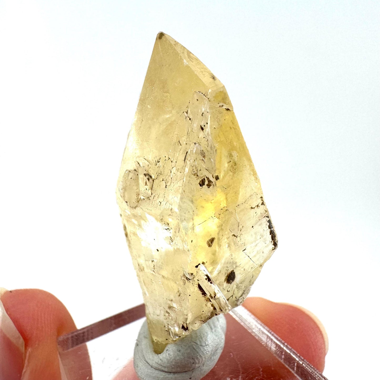 Fluorescent & Phosphorescent Golden Selenite (Canada) | selenite rosette, selenite crystal, UV reactive crystal, crystals
