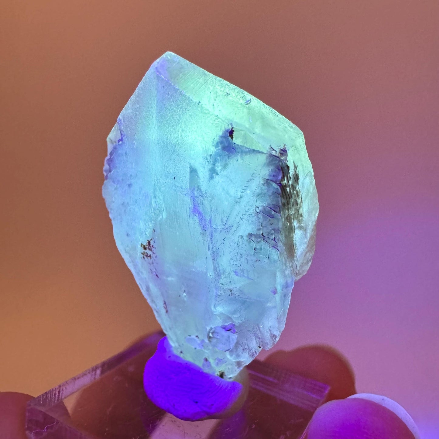 Fluorescent & Phosphorescent Golden Selenite (Canada) | selenite rosette, selenite crystal, UV reactive crystal, crystals