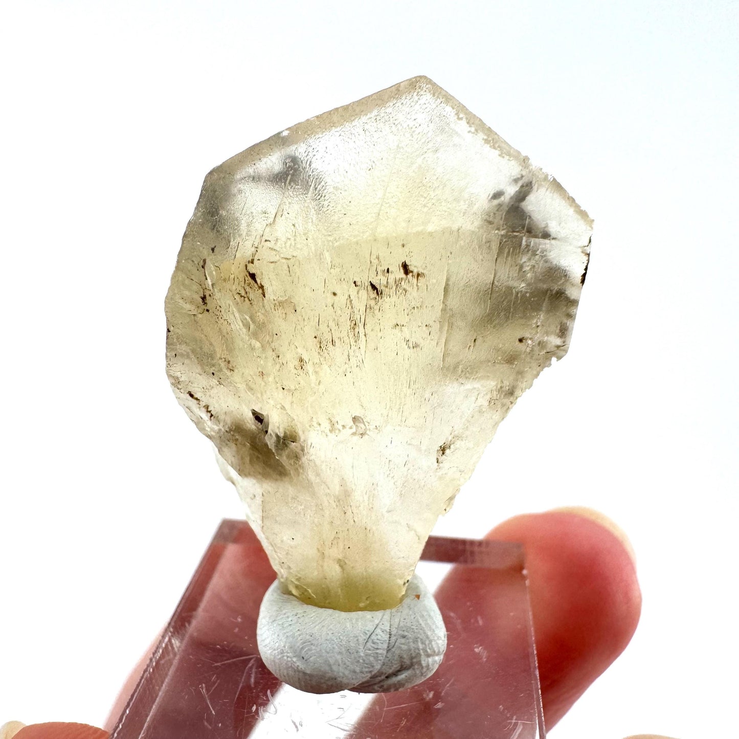 Fluorescent & Phosphorescent Golden Selenite (Canada) | selenite rosette, selenite crystal, UV reactive crystal, crystals