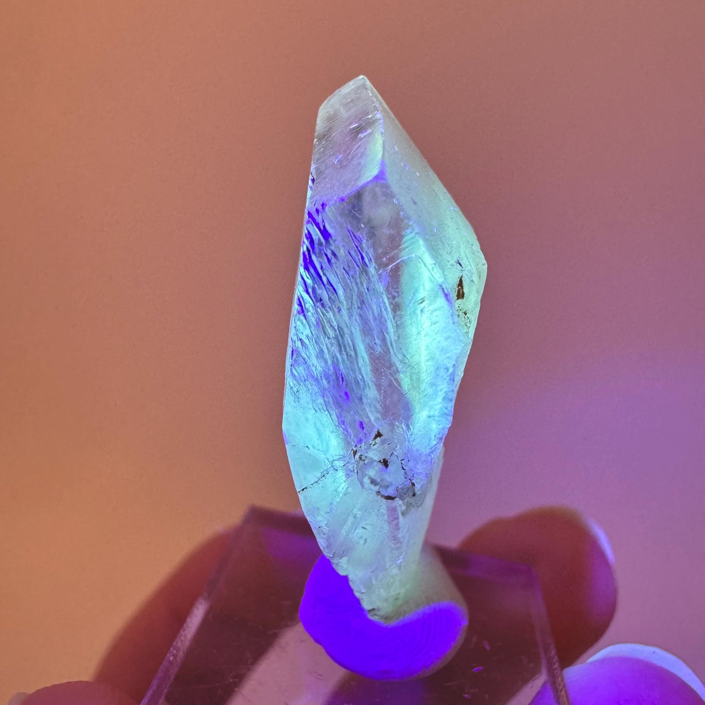 Fluorescent & Phosphorescent Golden Selenite (Canada) | selenite rosette, selenite crystal, UV reactive crystal, crystals