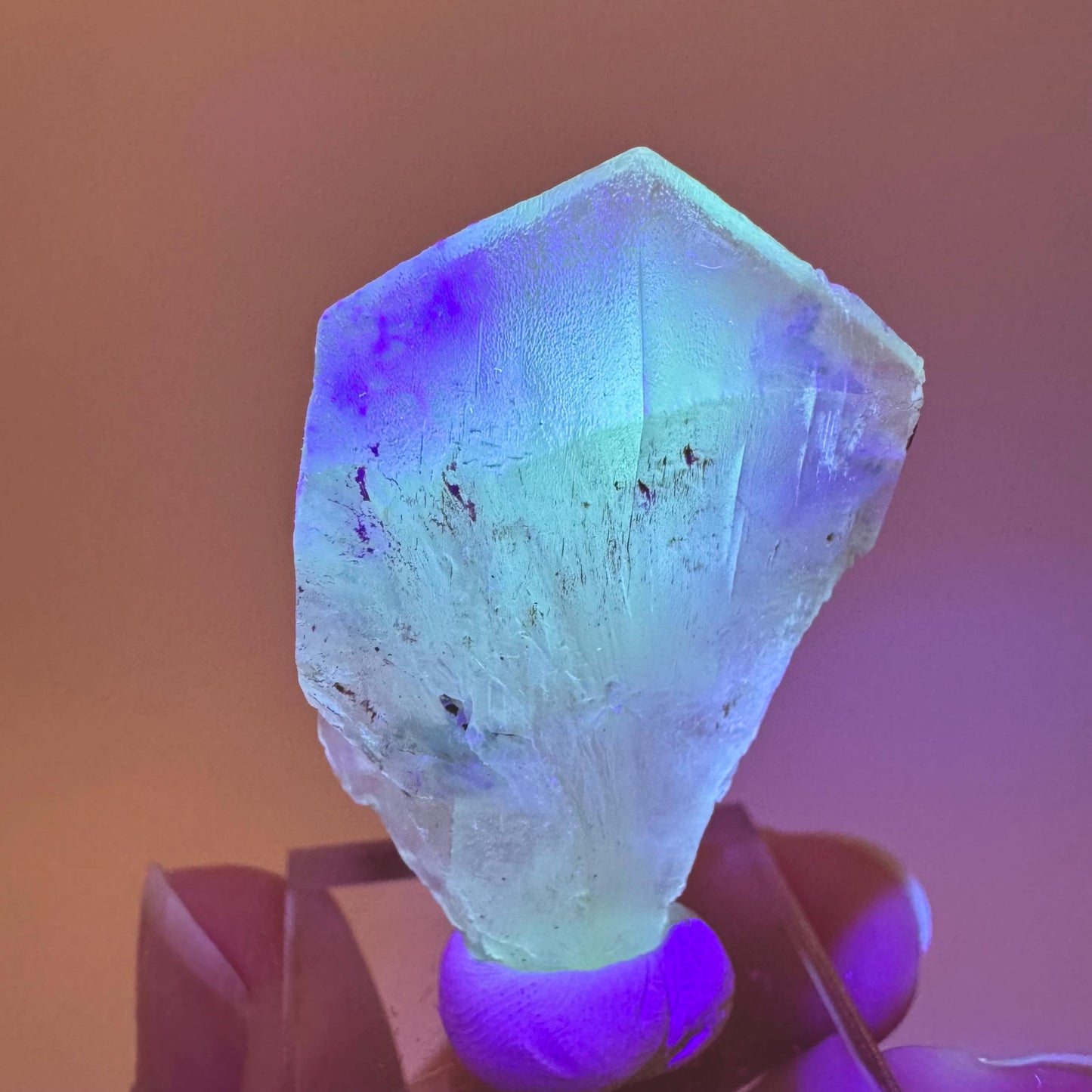 Fluorescent & Phosphorescent Golden Selenite (Canada) | selenite rosette, selenite crystal, UV reactive crystal, crystals