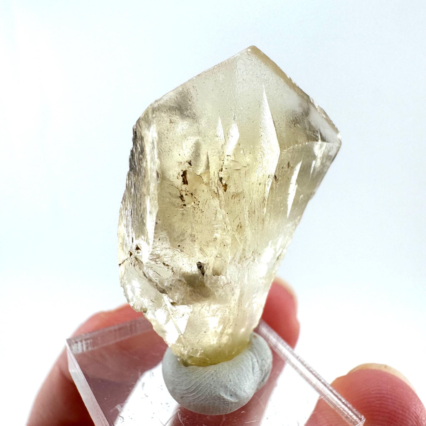 Fluorescent & Phosphorescent Golden Selenite (Canada) | selenite rosette, selenite crystal, UV reactive crystal, crystals