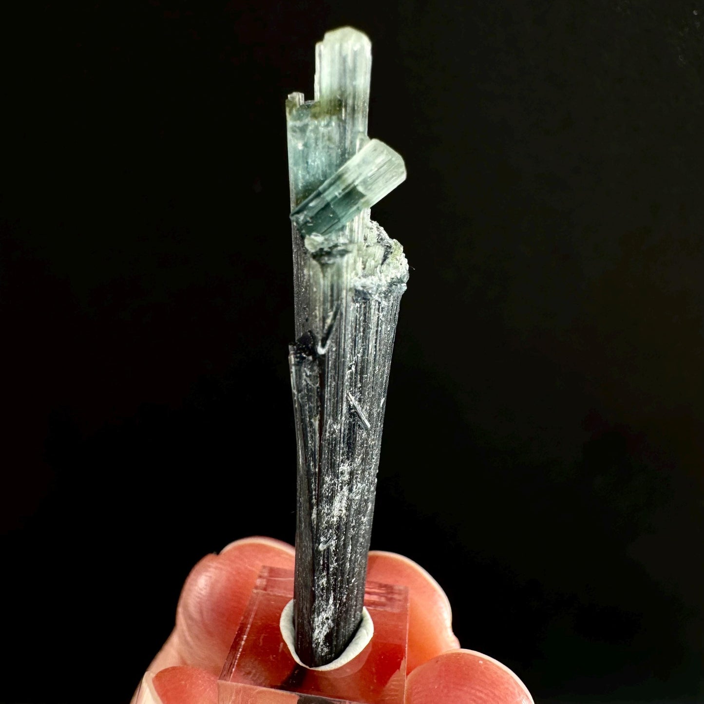 Indicolite Tourmaline (Pakistan) | blue tourmaline, natural tourmaline, green tourmaline, tourmaline crystal, bi color tourmaline