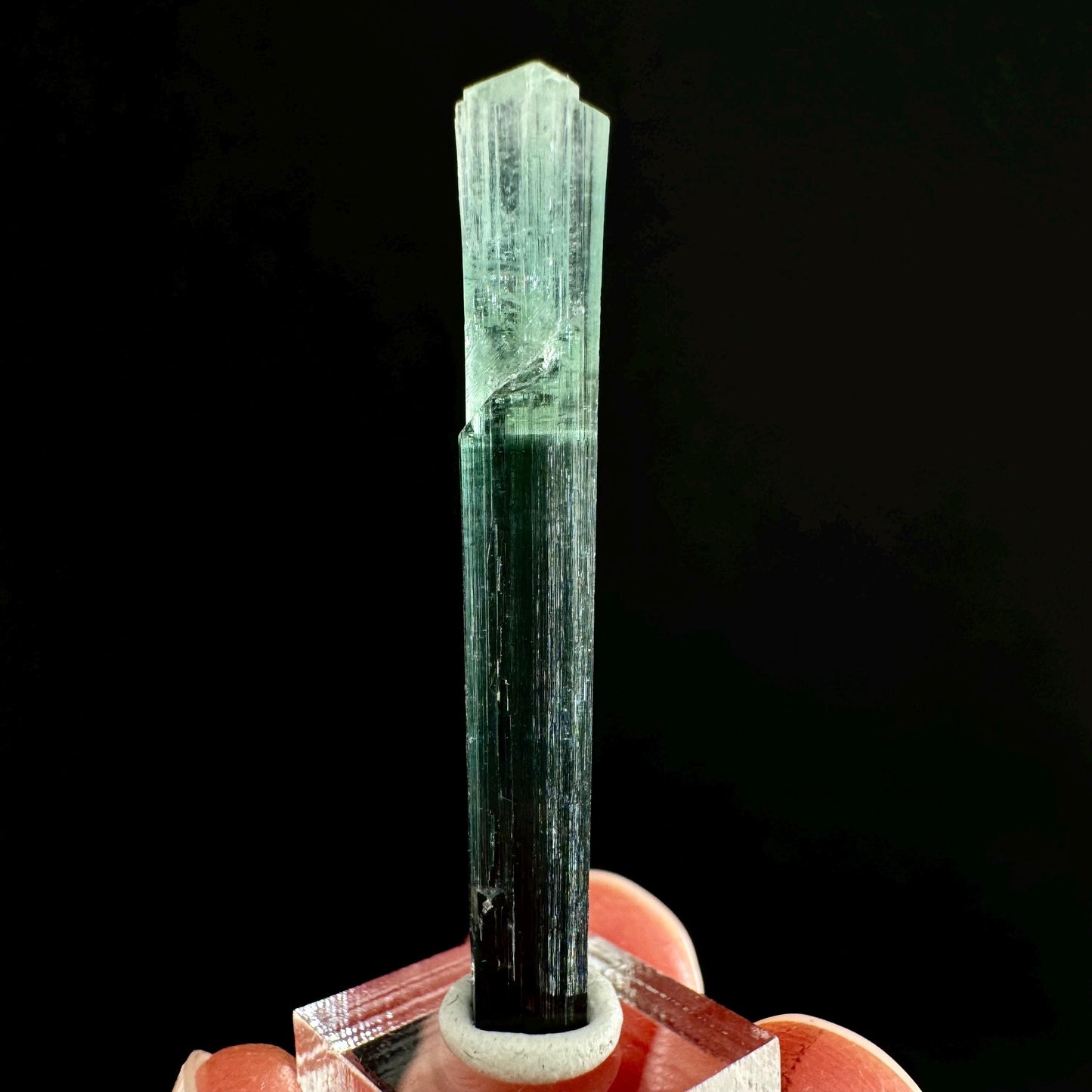 Indicolite Tourmaline (Pakistan) | blue tourmaline, natural tourmaline, green tourmaline, tourmaline crystal, bi color tourmaline