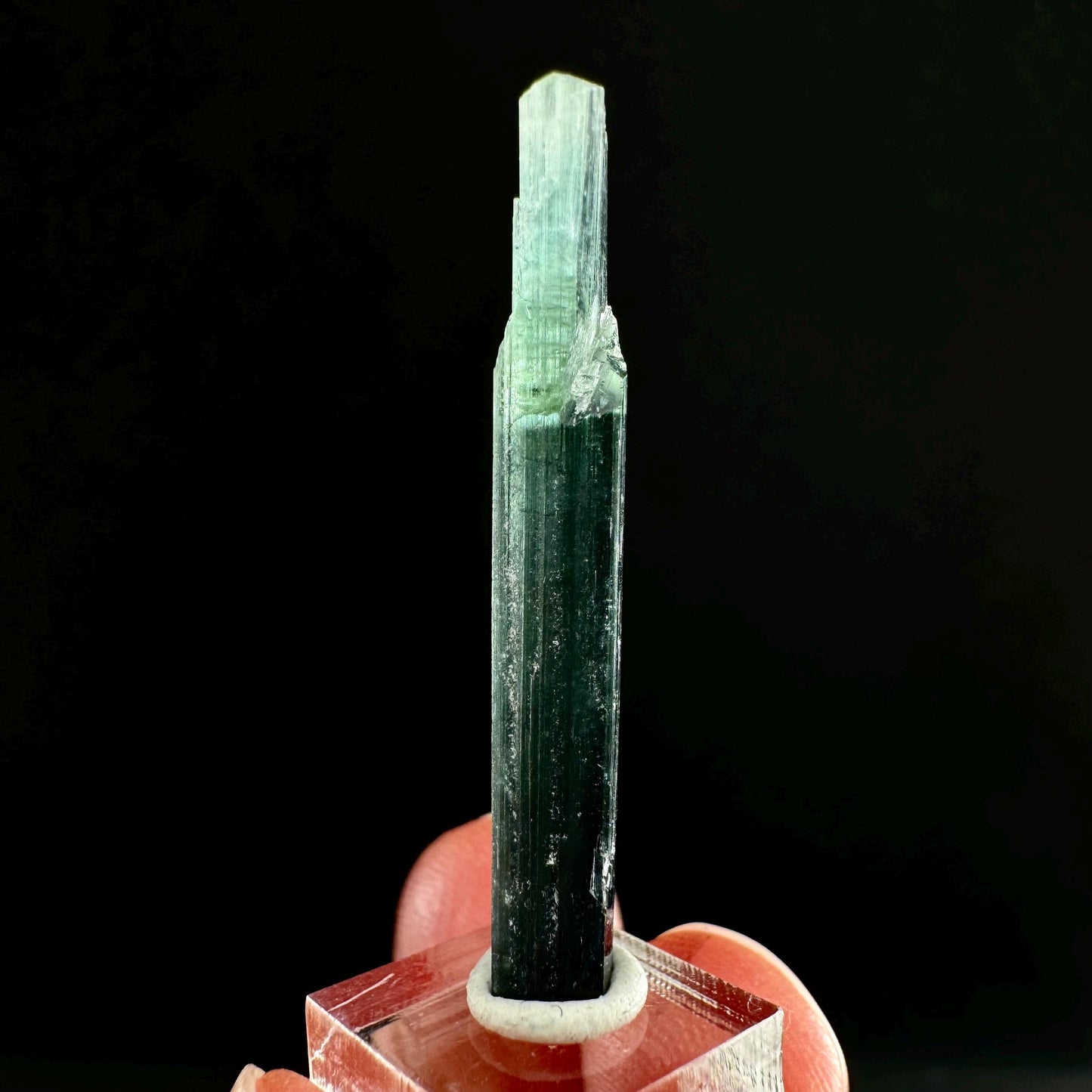 Indicolite Tourmaline (Pakistan) | blue tourmaline, natural tourmaline, green tourmaline, tourmaline crystal, bi color tourmaline
