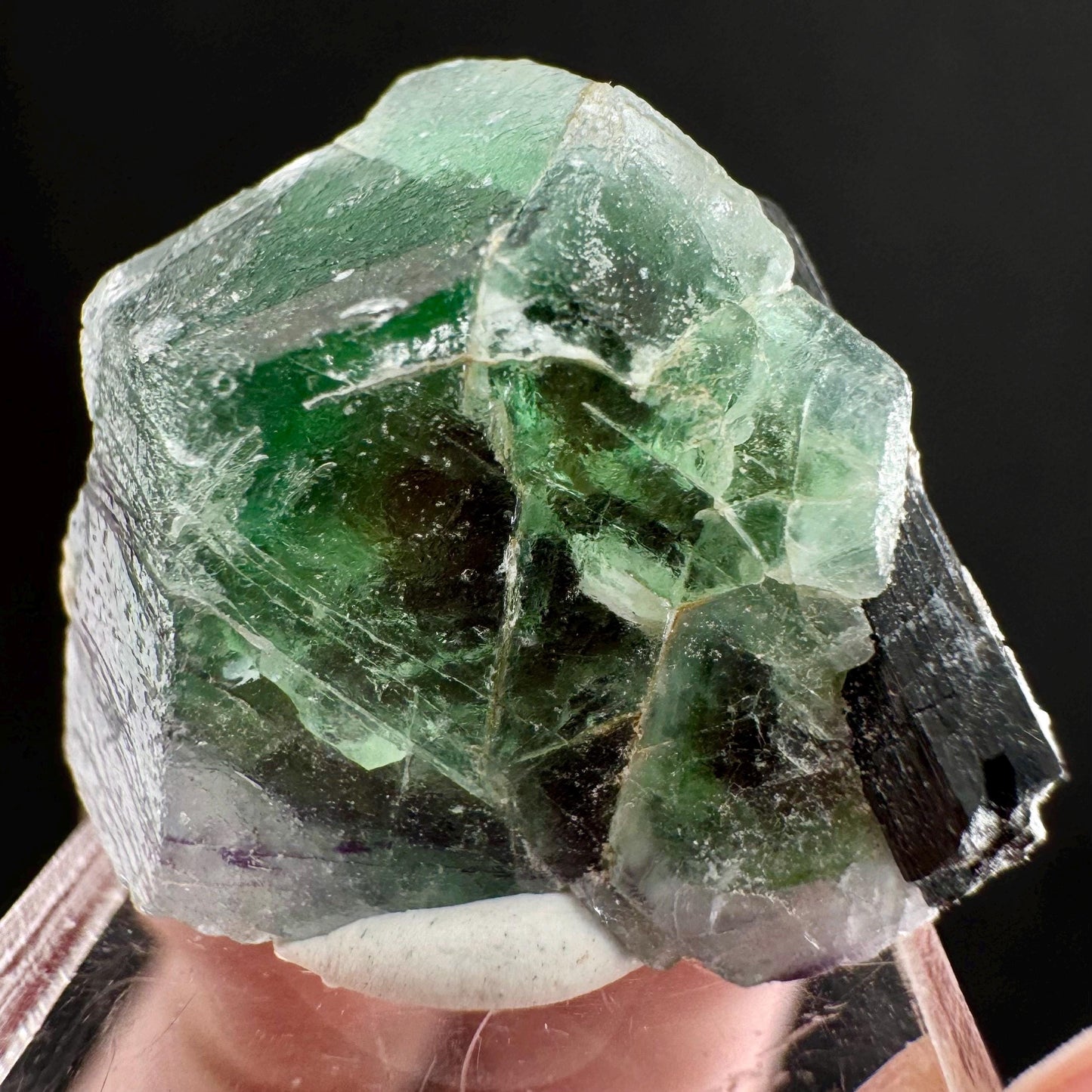 Fluorite w/ Schorl (Erongo, Namibia) | Lollipop Pocket, fluorite cluster, green fluorite, mineral specimen