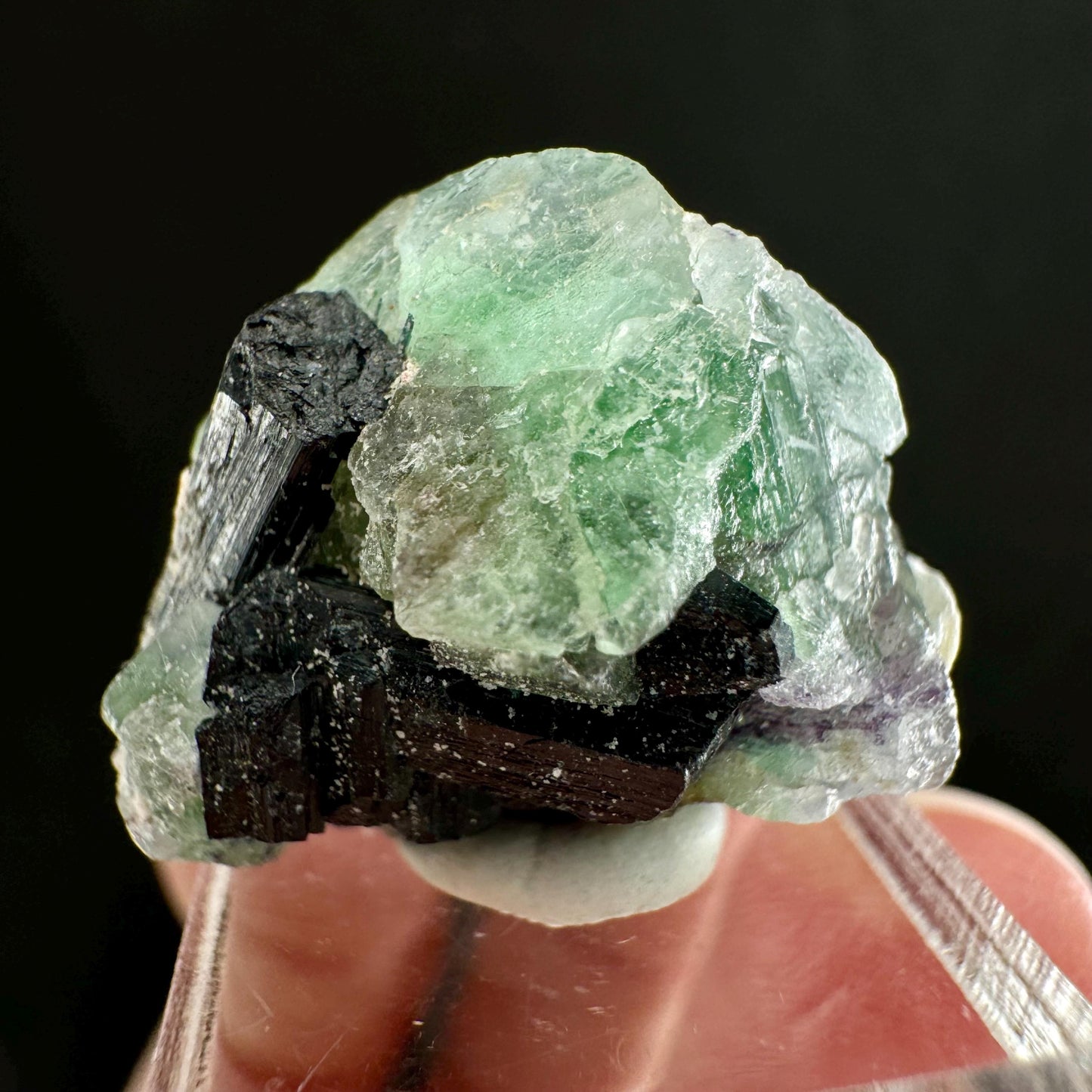 Fluorite w/ Schorl (Erongo, Namibia) | Lollipop Pocket, fluorite cluster, green fluorite, mineral specimen