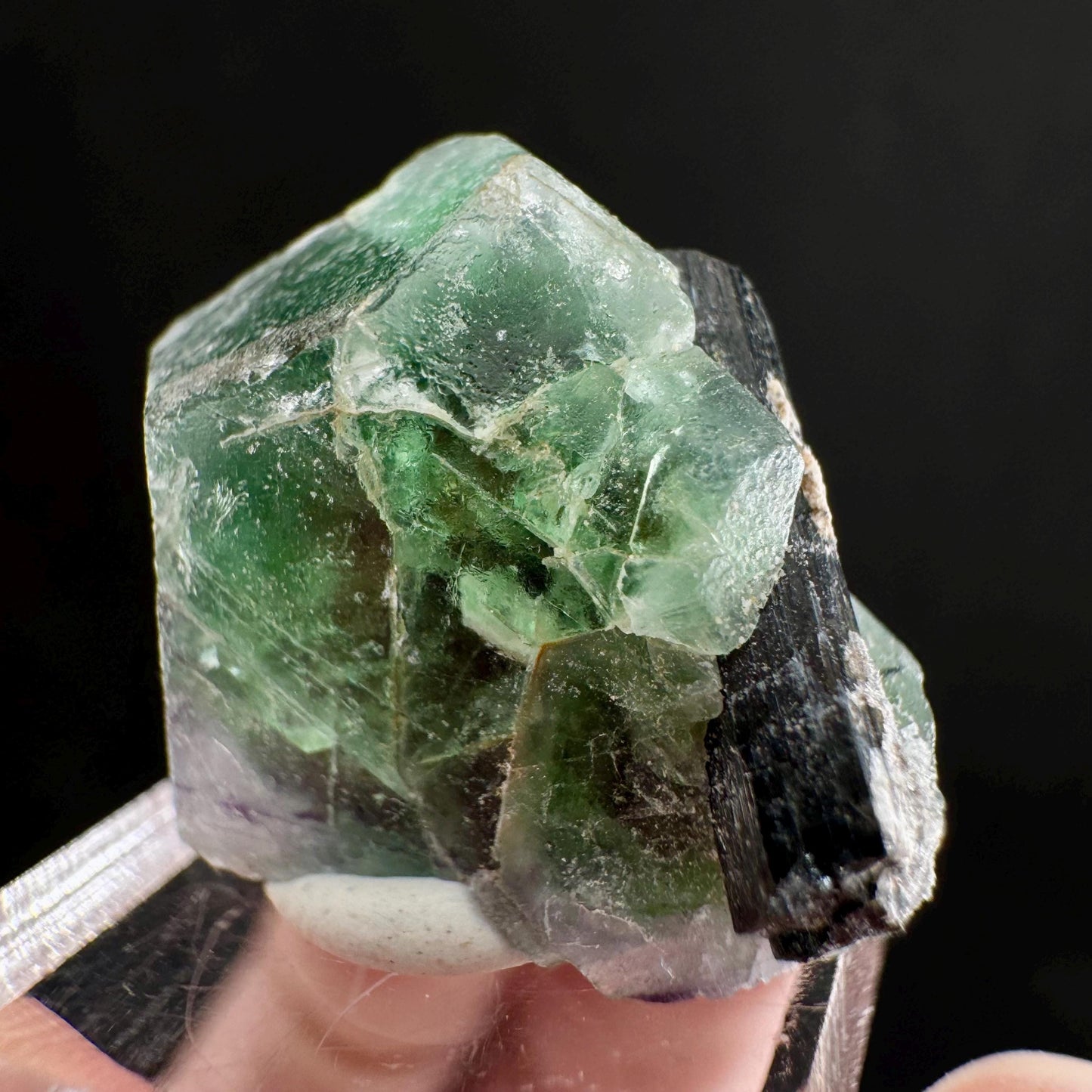Fluorite w/ Schorl (Erongo, Namibia) | Lollipop Pocket, fluorite cluster, green fluorite, mineral specimen