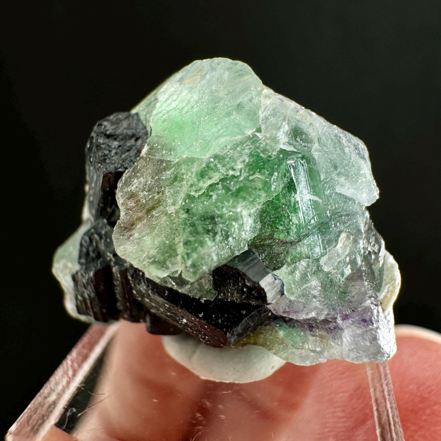 Fluorite w/ Schorl (Erongo, Namibia) | Lollipop Pocket, fluorite cluster, green fluorite, mineral specimen