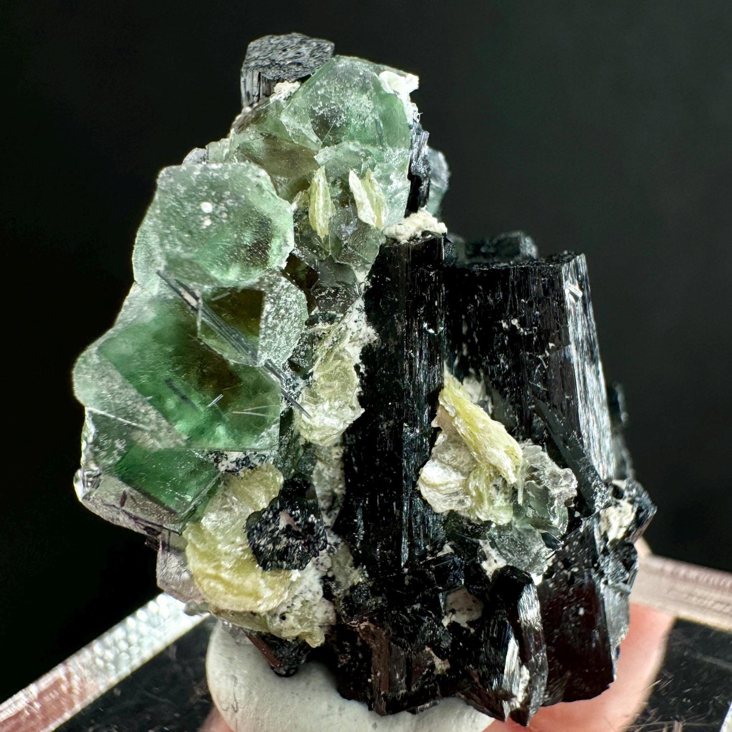 Fluorite w/ Schorl (Erongo, Namibia) | Lollipop Pocket, fluorite cluster, green fluorite, mineral specimen