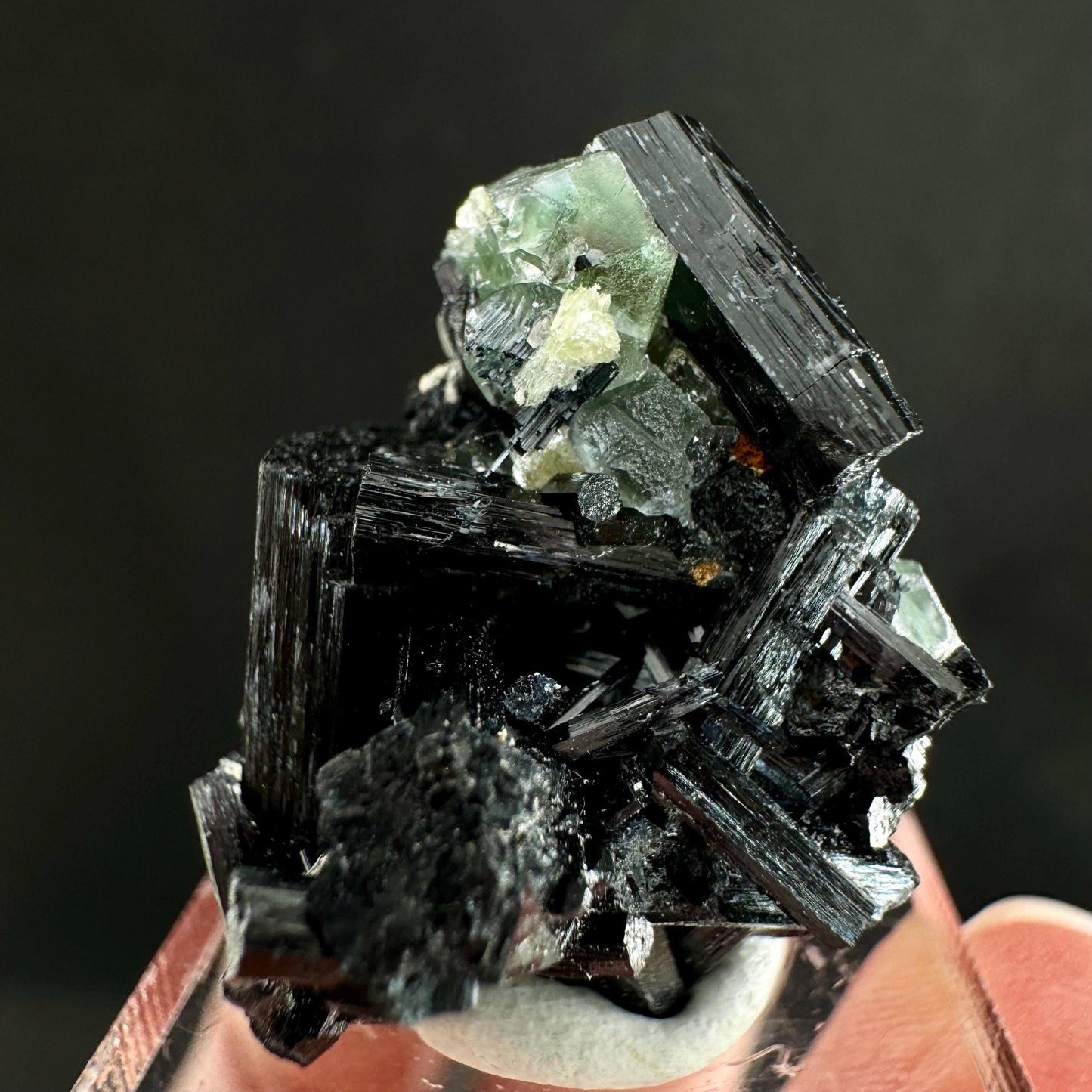 Fluorite w/ Schorl (Erongo, Namibia) | Lollipop Pocket, fluorite cluster, green fluorite, mineral specimen