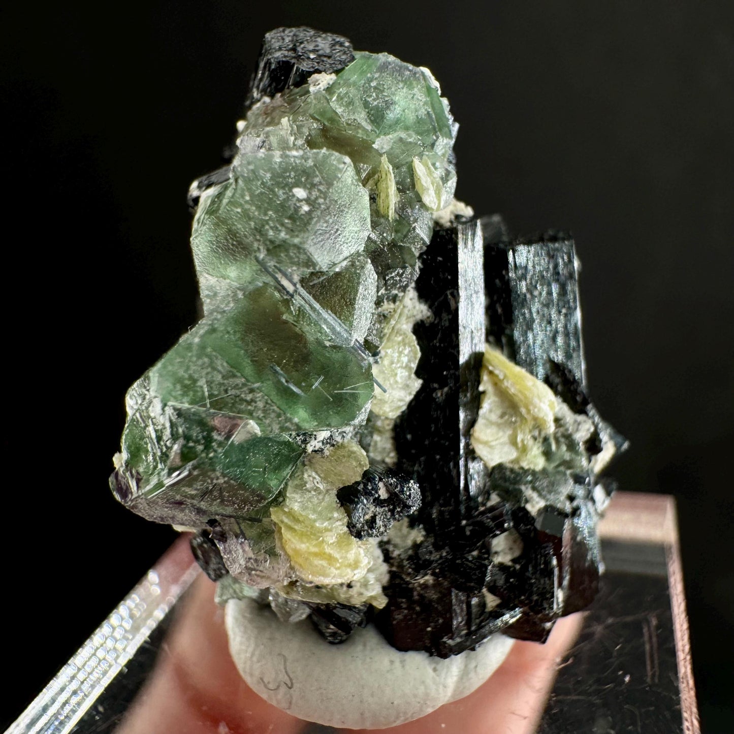 Fluorite w/ Schorl (Erongo, Namibia) | Lollipop Pocket, fluorite cluster, green fluorite, mineral specimen