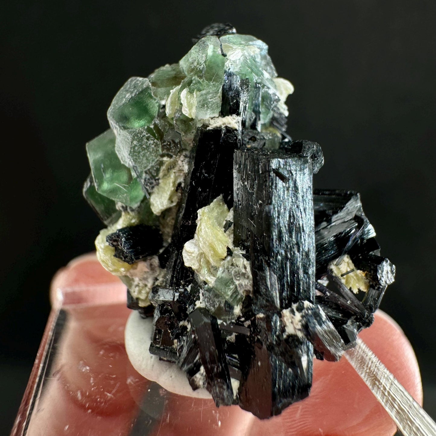 Fluorite w/ Schorl (Erongo, Namibia) | Lollipop Pocket, fluorite cluster, green fluorite, mineral specimen