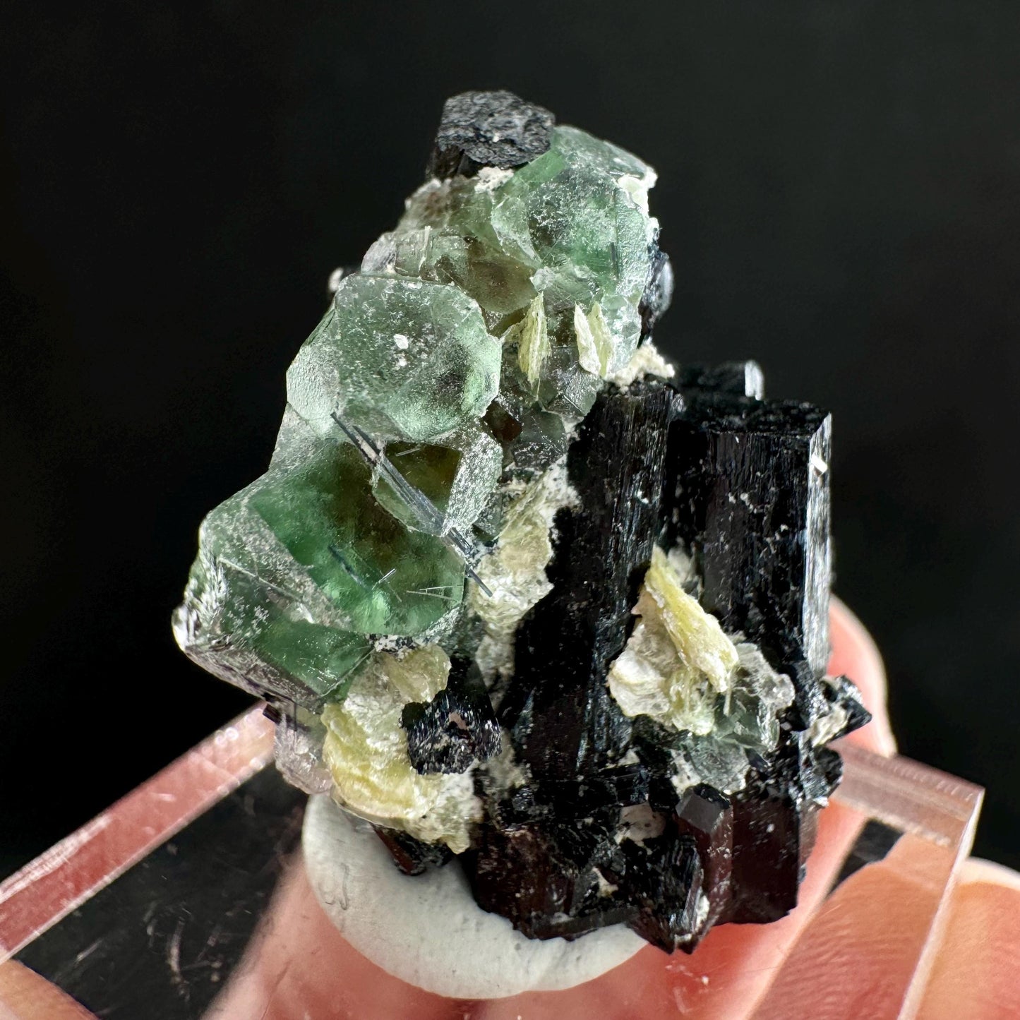Fluorite w/ Schorl (Erongo, Namibia) | Lollipop Pocket, fluorite cluster, green fluorite, mineral specimen