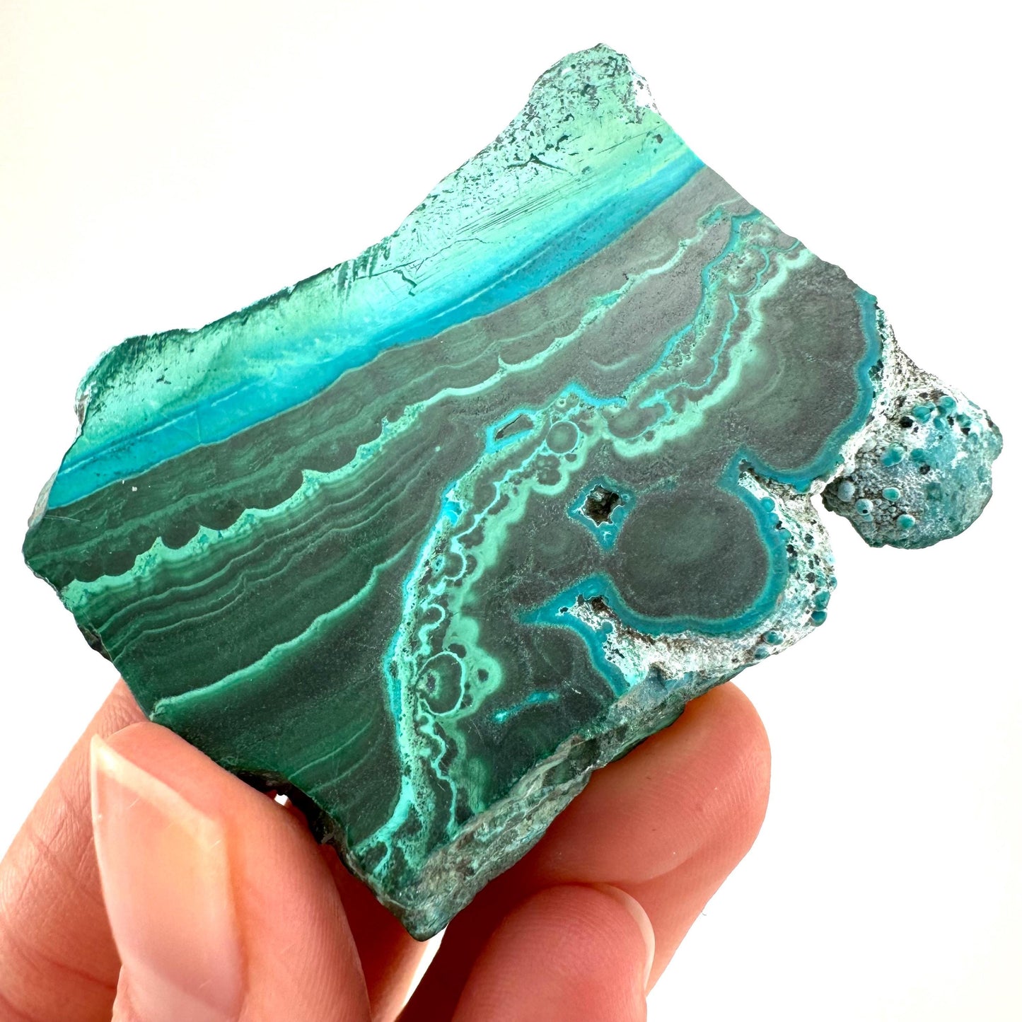 Malachite & Chrysocolla Slice (Congo), natural malachite, malachite slice, malachite slab, malacolla slice, polished malachite