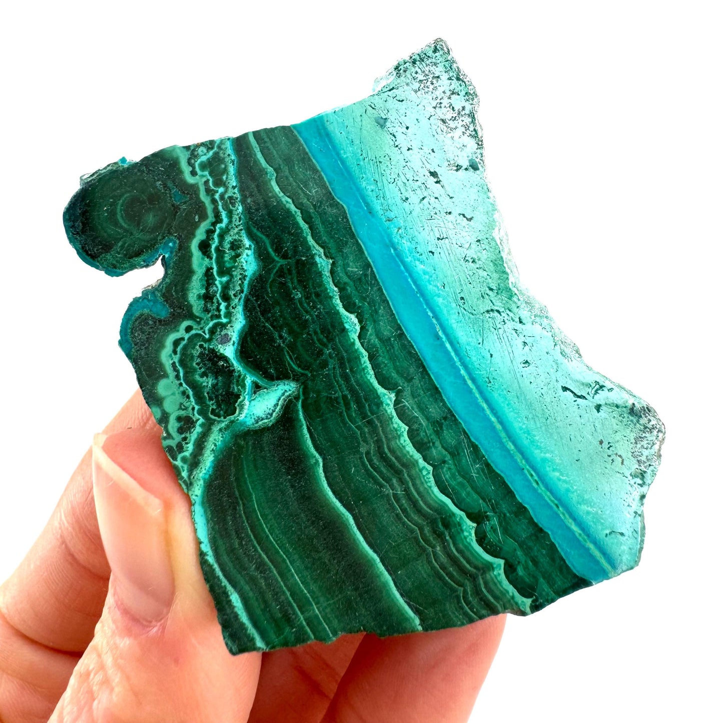 Malachite & Chrysocolla Slice (Congo), natural malachite, malachite slice, malachite slab, malacolla slice, polished malachite