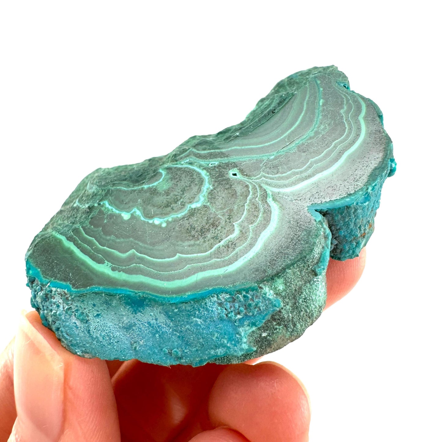 Malachite & Chrysocolla Slice (Congo), natural malachite, malachite slice, malachite slab, malacolla slice, polished malachite