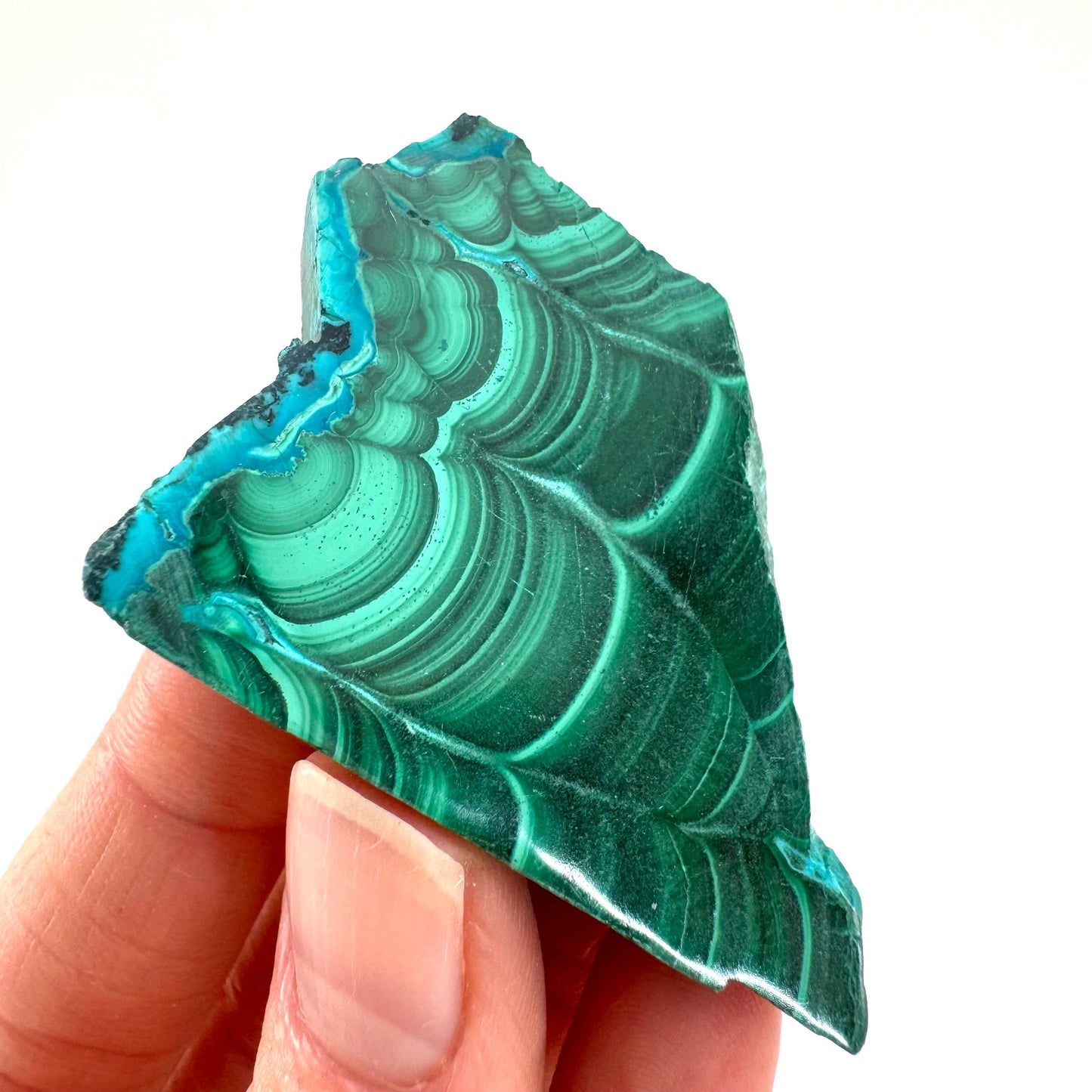 Malachite & Chrysocolla Slice (Congo), natural malachite, malachite slice, malachite slab, malacolla slice, polished malachite