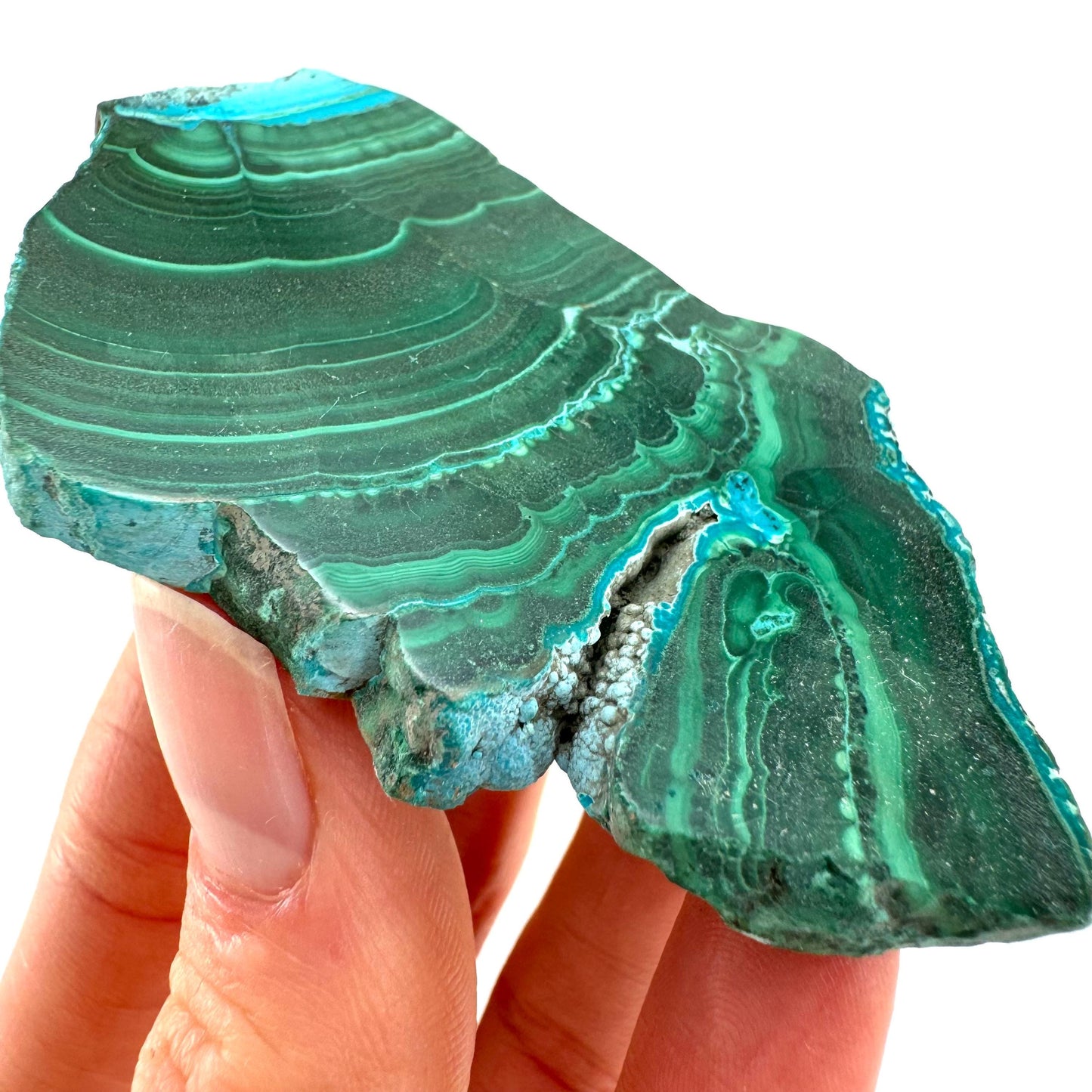 Malachite & Chrysocolla Slice (Congo), natural malachite, malachite slice, malachite slab, malacolla slice, polished malachite