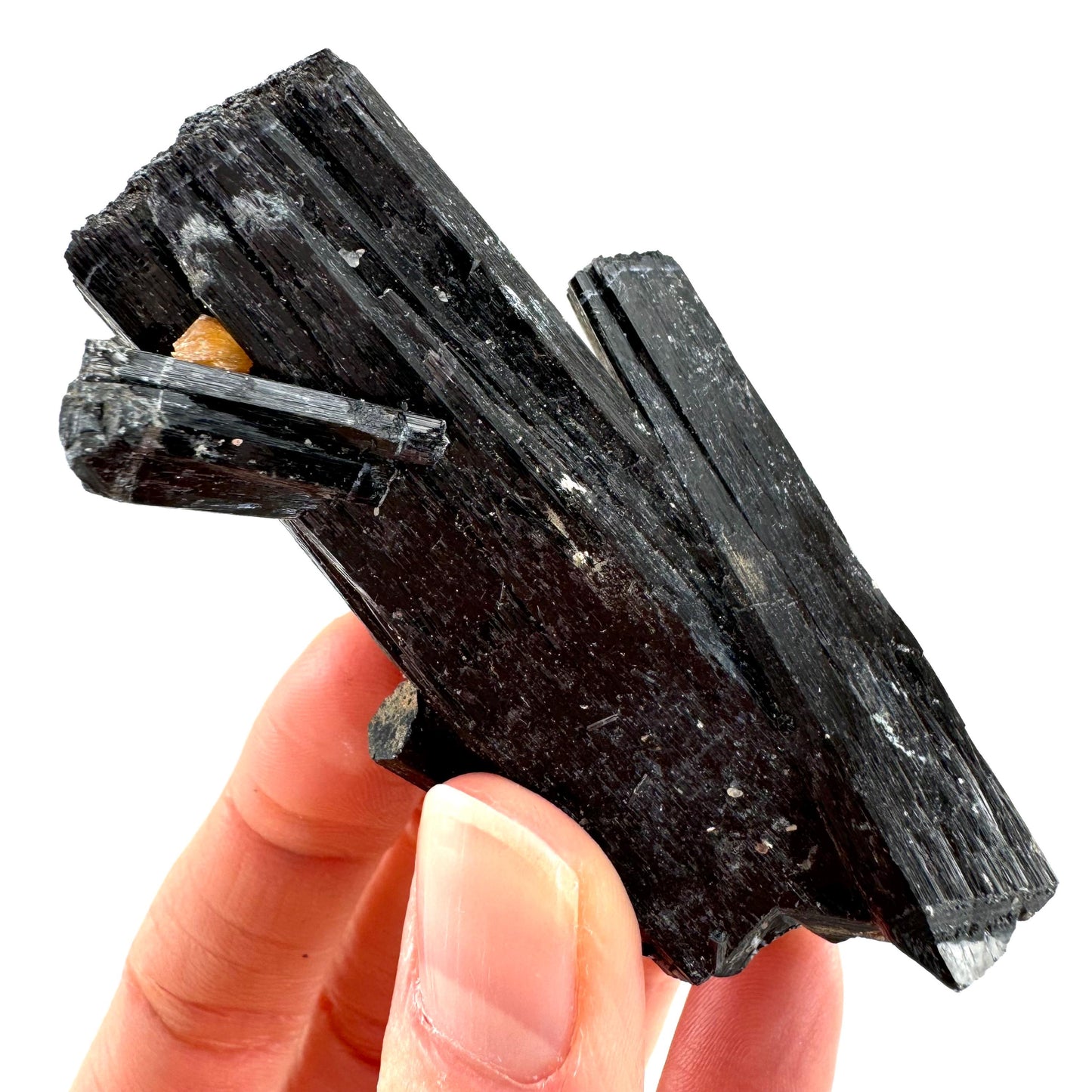 Black tourmaline cluster (Namibia), high grade black tourmaline, tourmaline crystal, black schorl