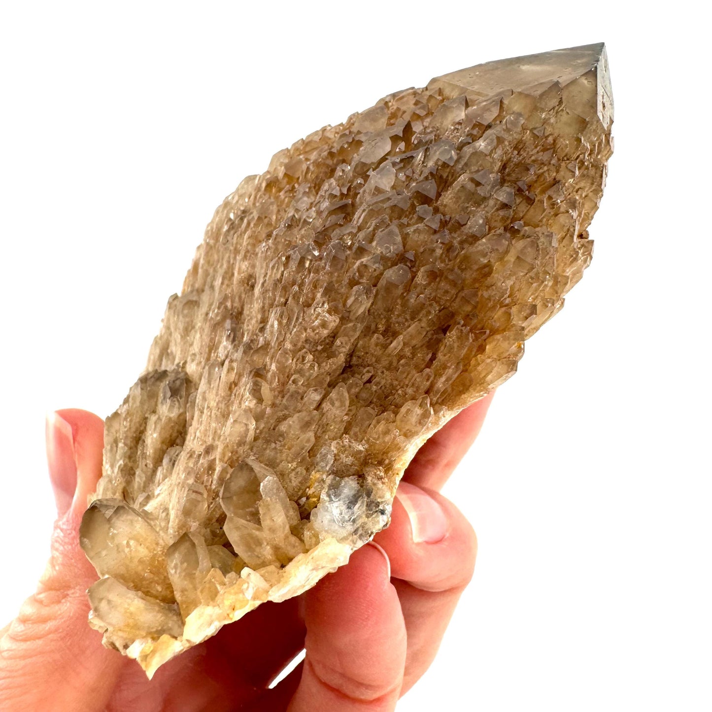 Elestial Smoky Quartz (Namibia) | smoky quartz crystal, mineral specimen
