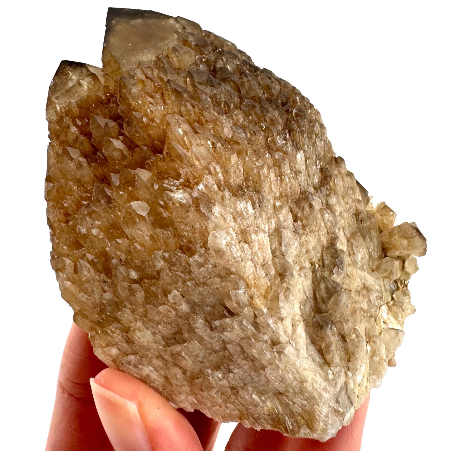 Elestial Smoky Quartz (Namibia) | smoky quartz crystal, mineral specimen