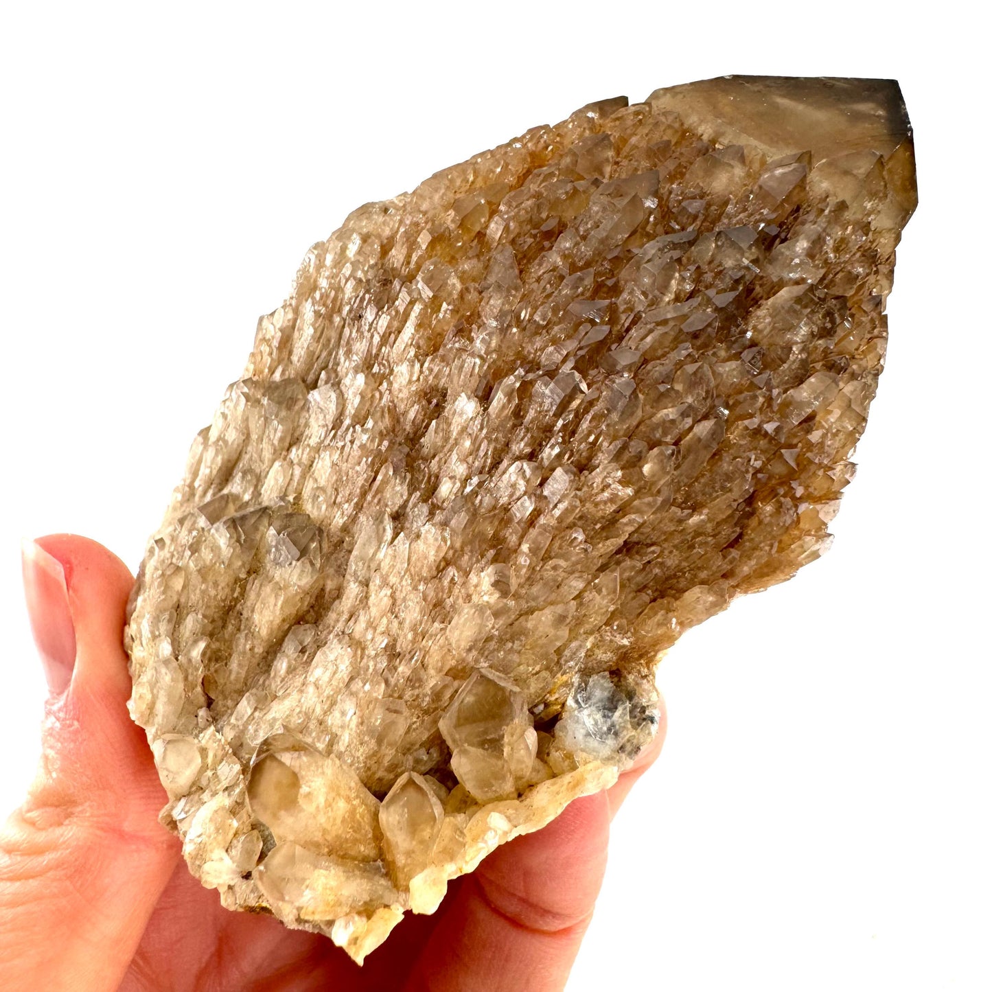 Elestial Smoky Quartz (Namibia) | smoky quartz crystal, mineral specimen