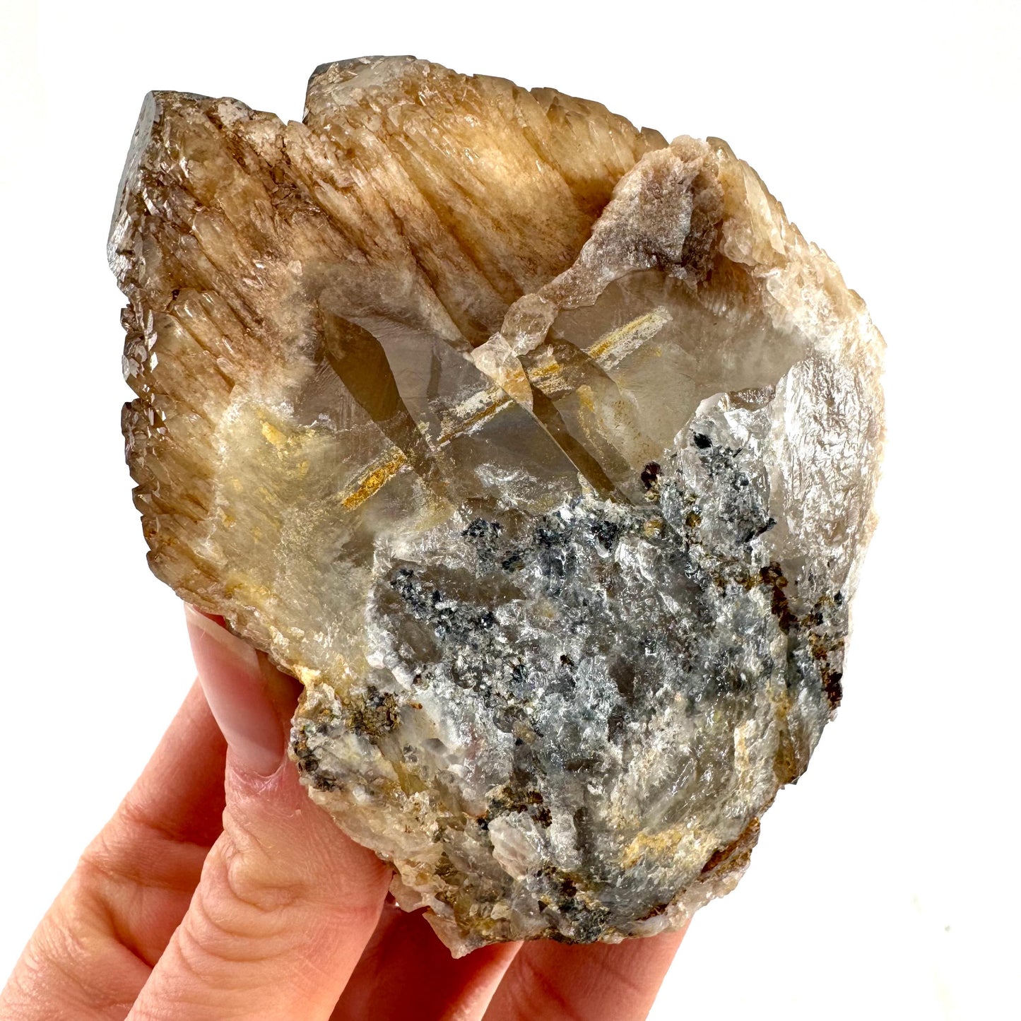 Elestial Smoky Quartz (Namibia) | smoky quartz crystal, mineral specimen