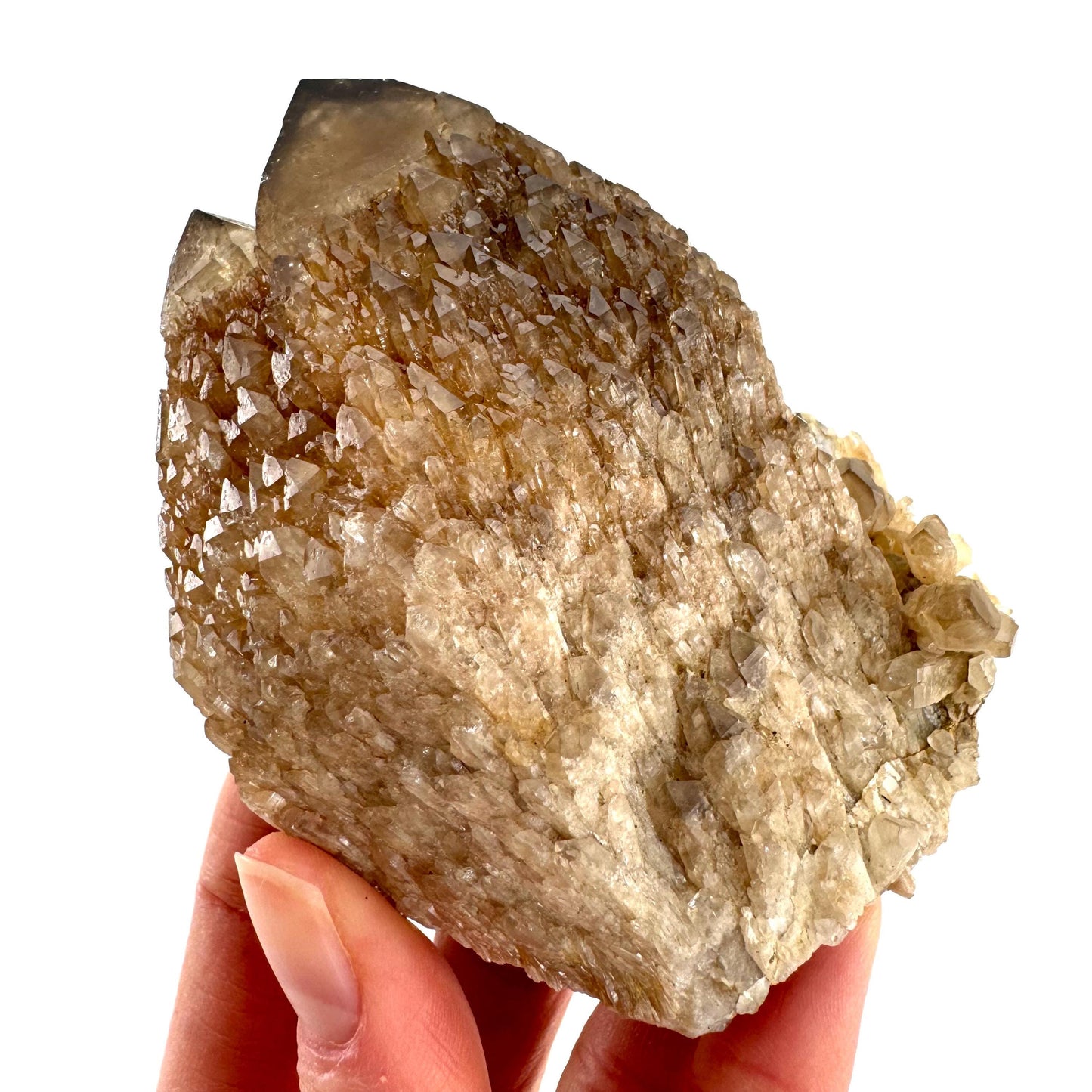 Elestial Smoky Quartz (Namibia) | smoky quartz crystal, mineral specimen
