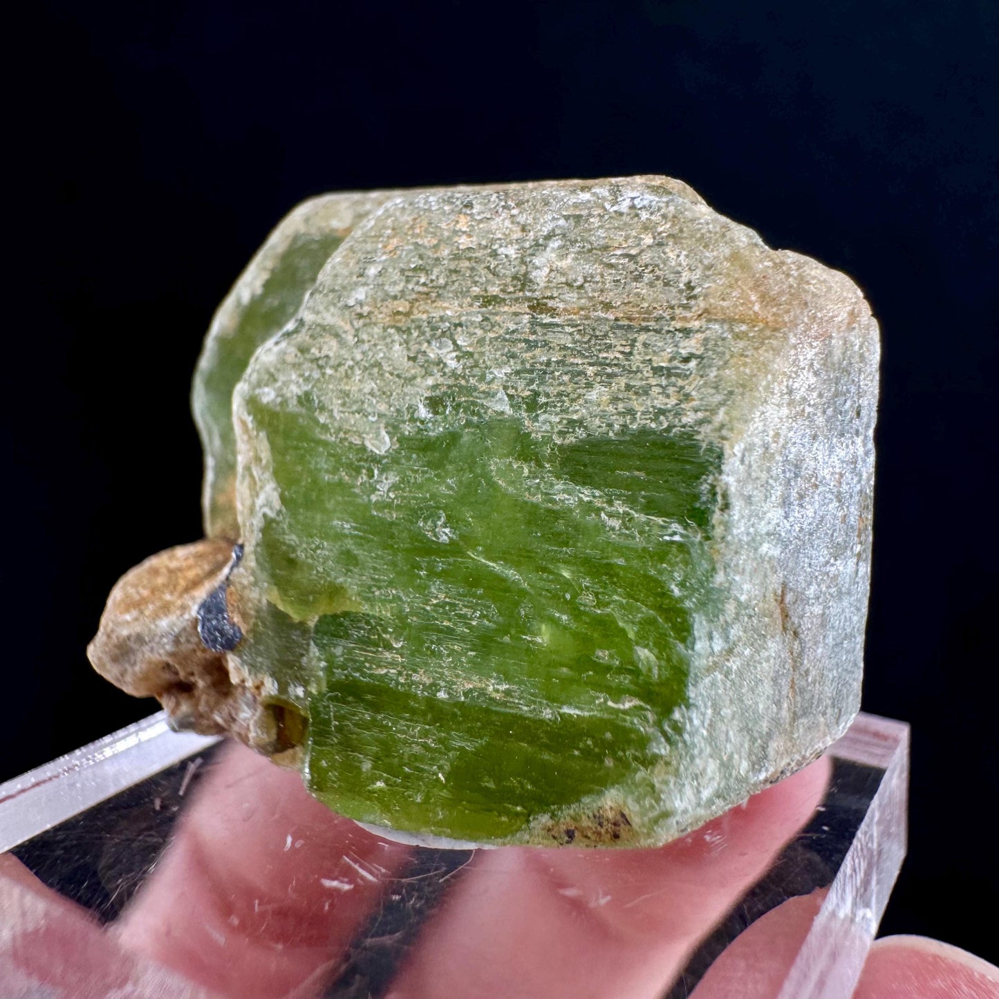 Naturally terminated peridot crystal (Pakistan) | raw peridot, natural peridot, peridot crystal, peridot point