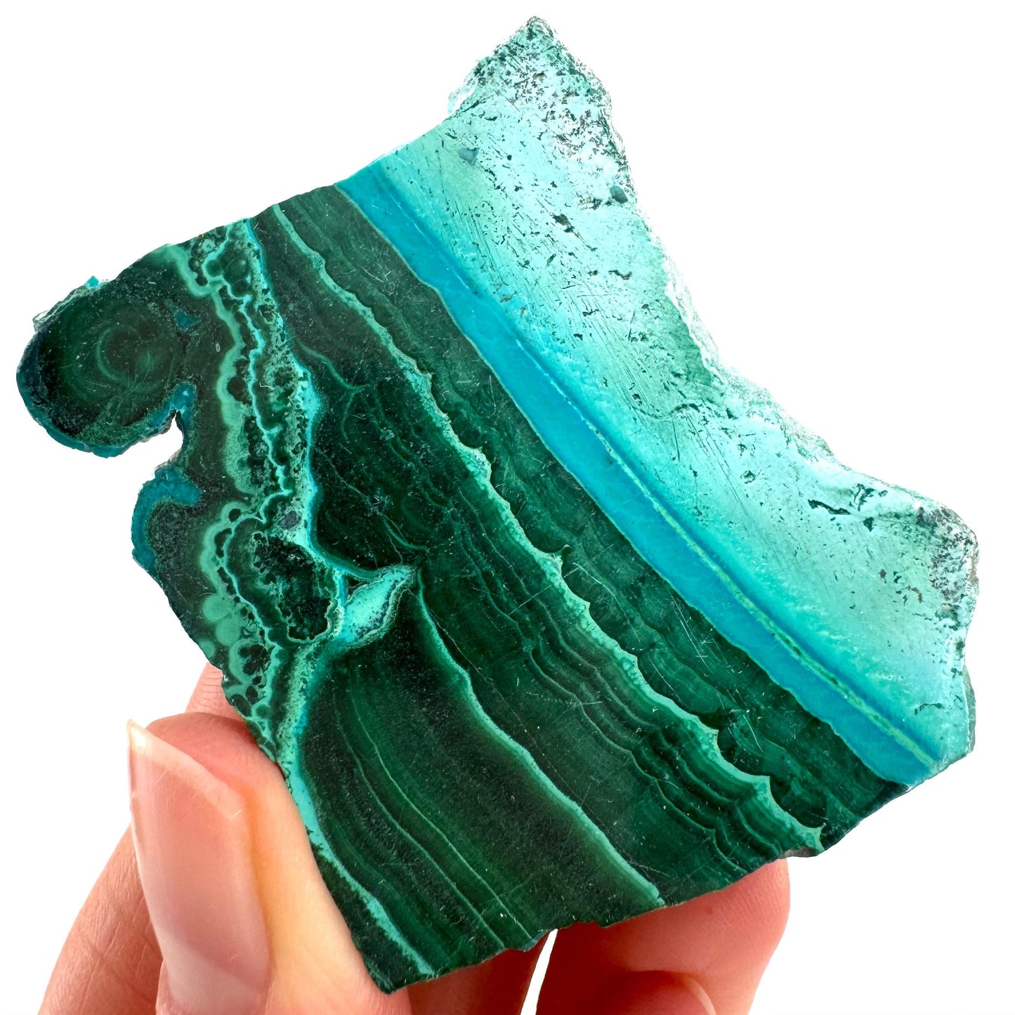 Malachite & Chrysocolla Slice (Congo), natural malachite, malachite slice, malachite slab, malacolla slice, polished malachite